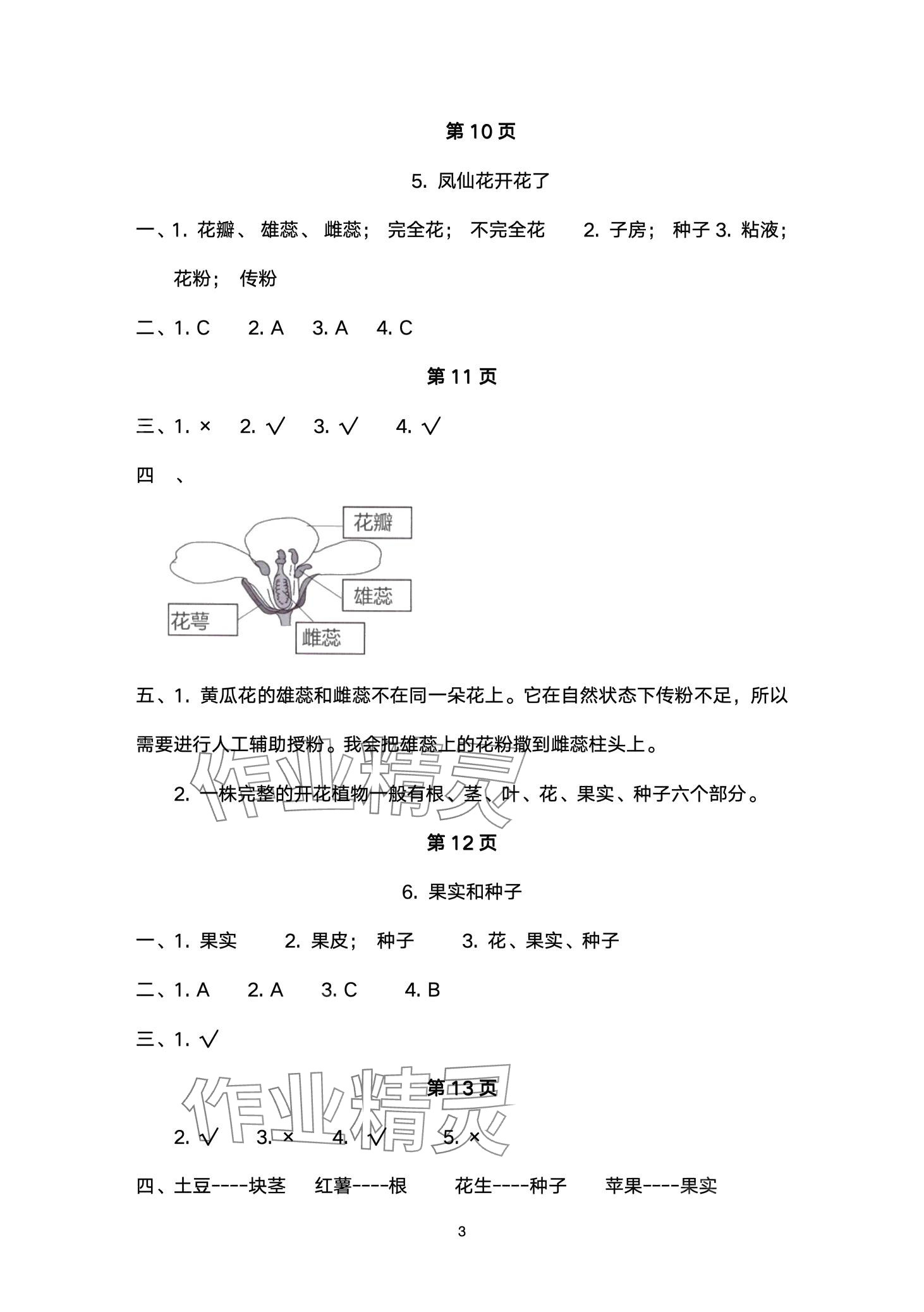 2024年云南省標準教輔同步指導訓練與檢測四年級科學下冊教科版 第3頁