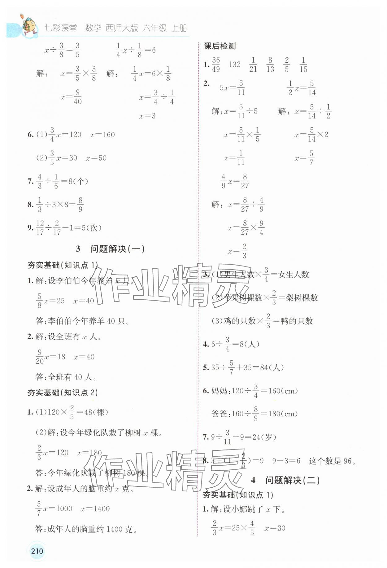 2024年七彩课堂六年级数学上册西师大版 参考答案第7页