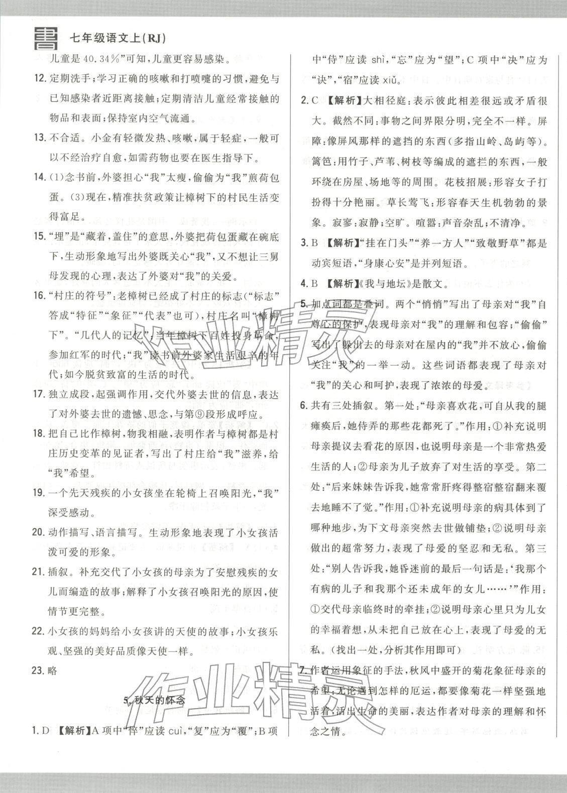 2025年书立方跟踪测试卷七年级语文上册人教版 第5页