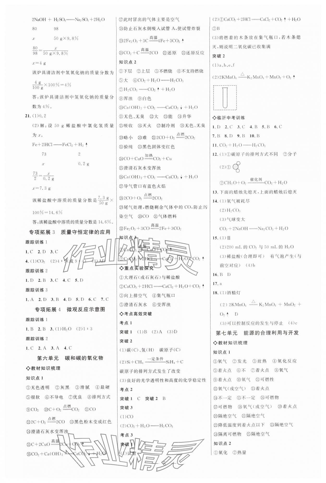 2025年全程导航初中总复习化学人教版临沂专版 第5页