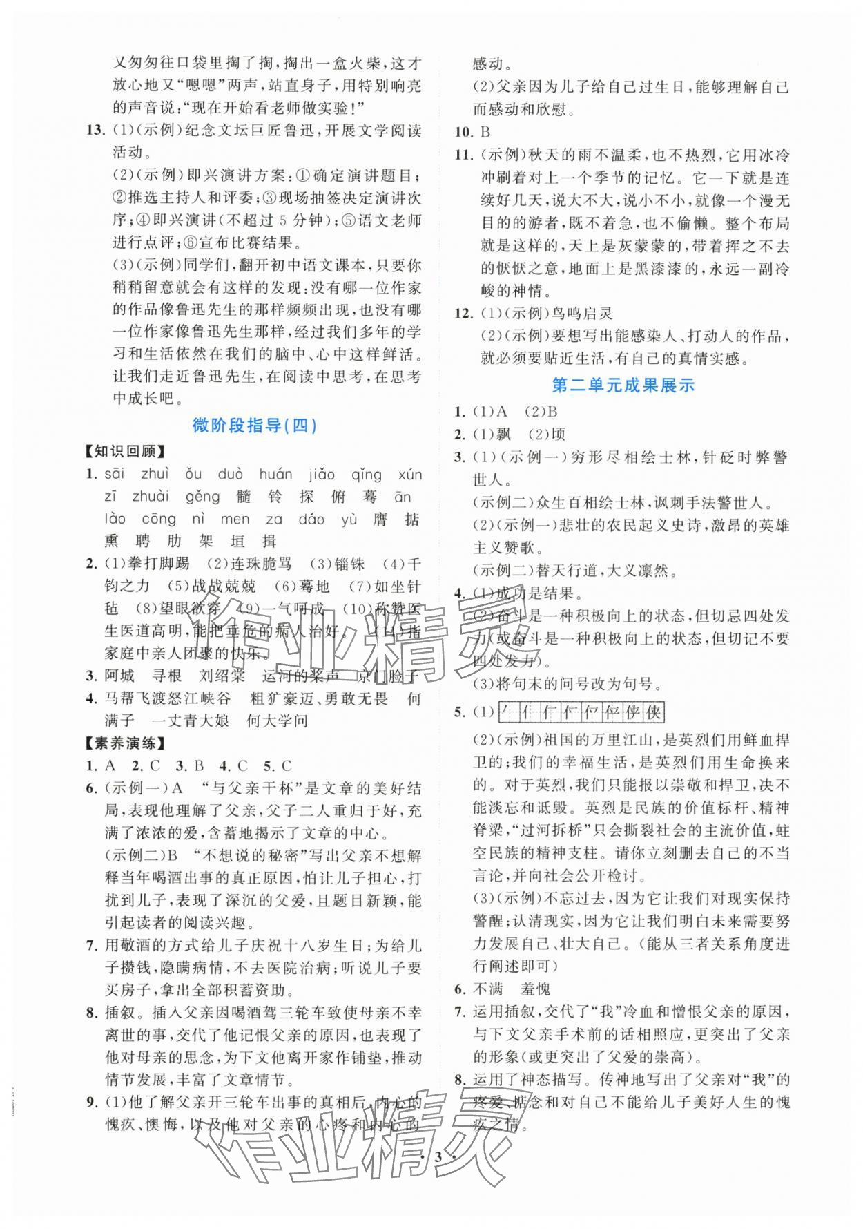 2025年同步練習冊分層卷九年級語文下冊人教版陜西專版 第3頁