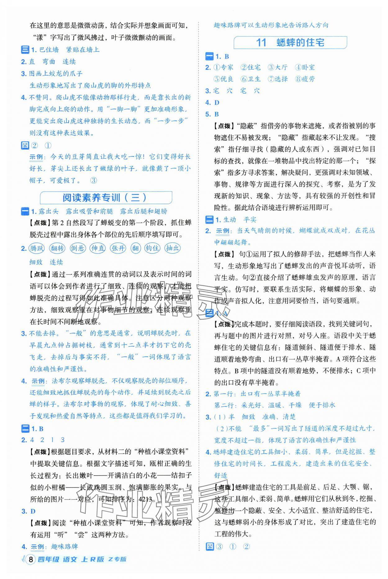 2025年綜合應(yīng)用創(chuàng)新題典中點(diǎn)四年級(jí)語(yǔ)文上冊(cè)人教版浙江專版 第8頁(yè)