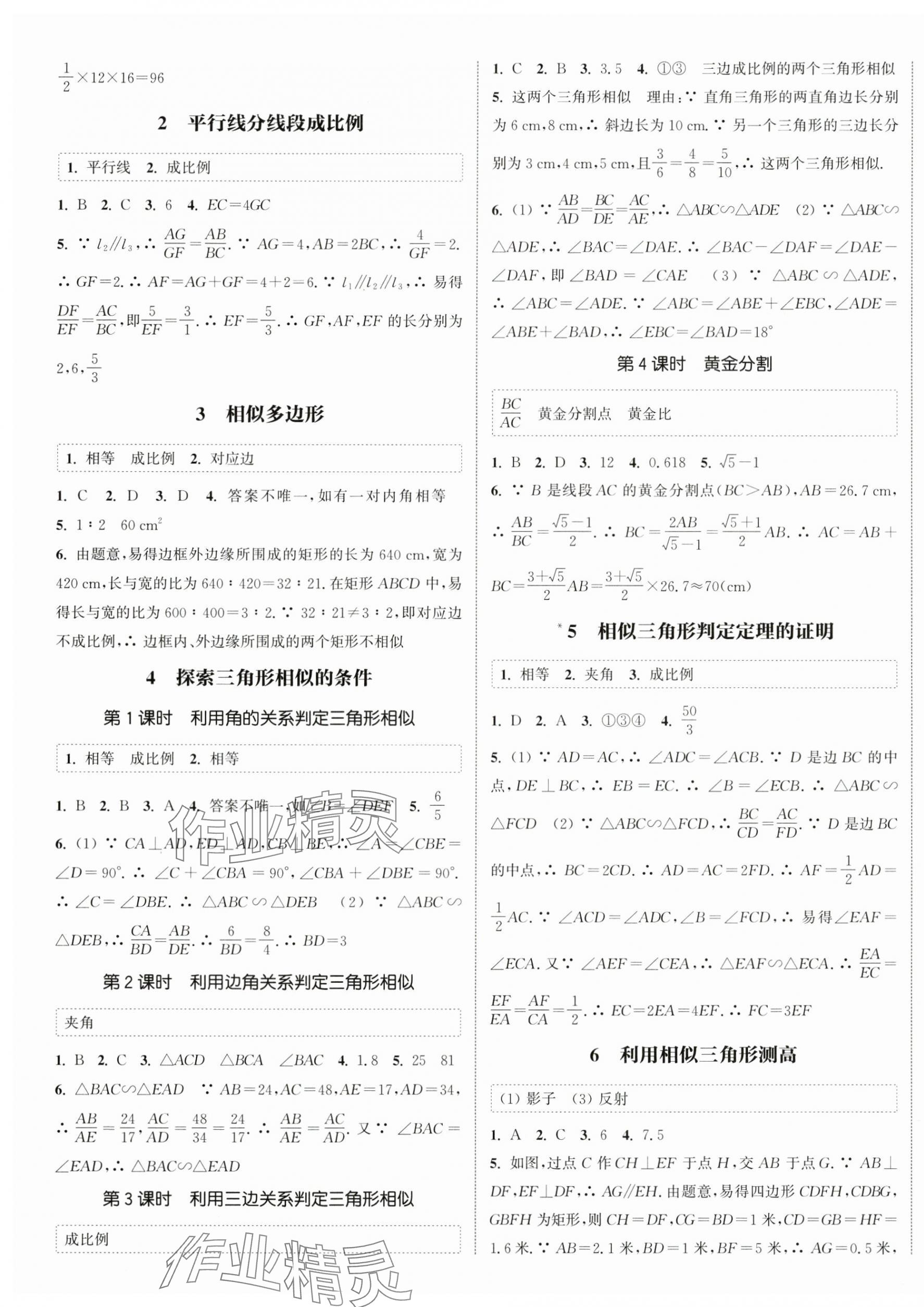 2025年通城學典課時作業(yè)本九年級數(shù)學上冊北師大版 第5頁