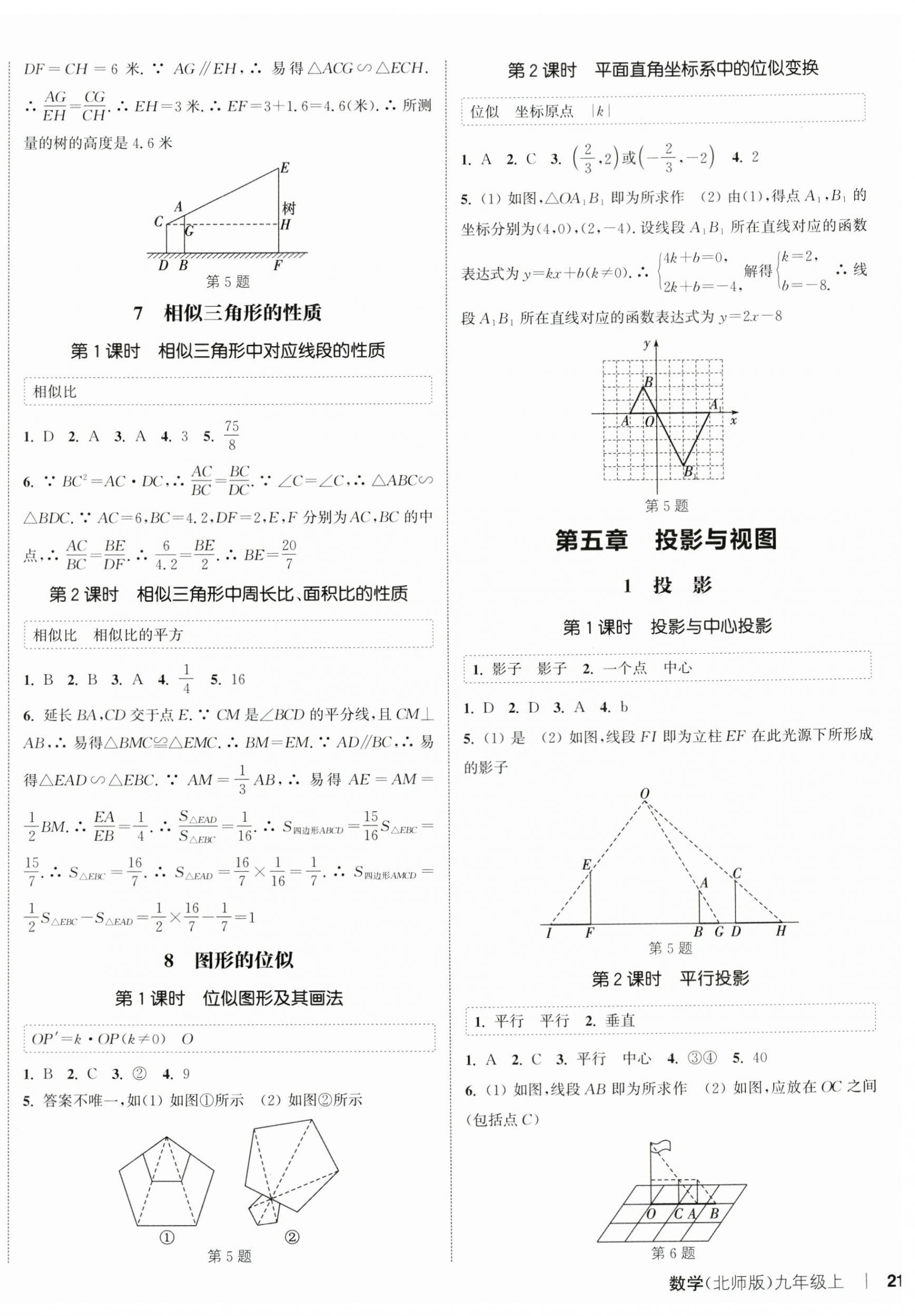 2025年通城學(xué)典課時(shí)作業(yè)本九年級數(shù)學(xué)上冊北師大版 第6頁