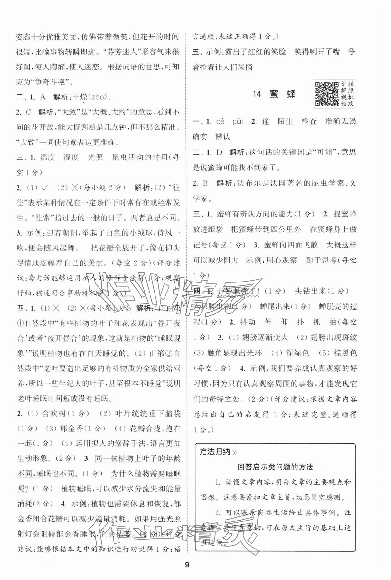 2025年拔尖特訓三年級語文下冊人教版 第9頁