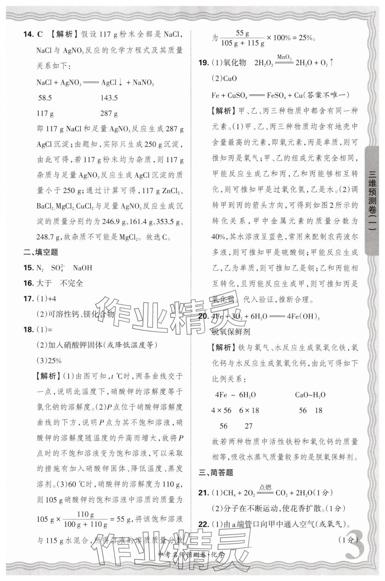 2025年王朝霞中考名師預(yù)測卷化學(xué)中考河南專版 第3頁