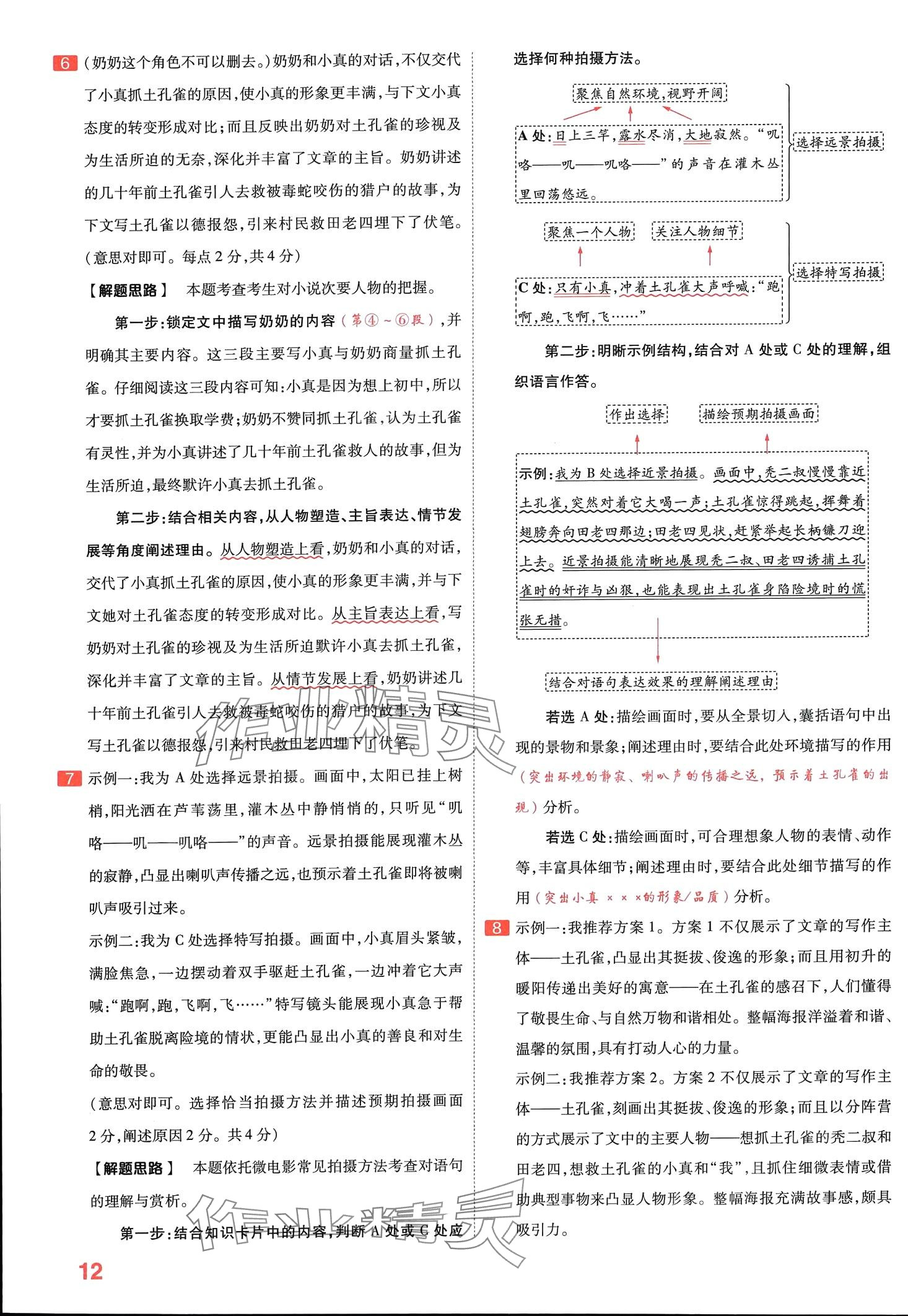 2024年金考卷百校聯(lián)盟系列河南中考信息卷語(yǔ)文中考河南專版 第11頁(yè)