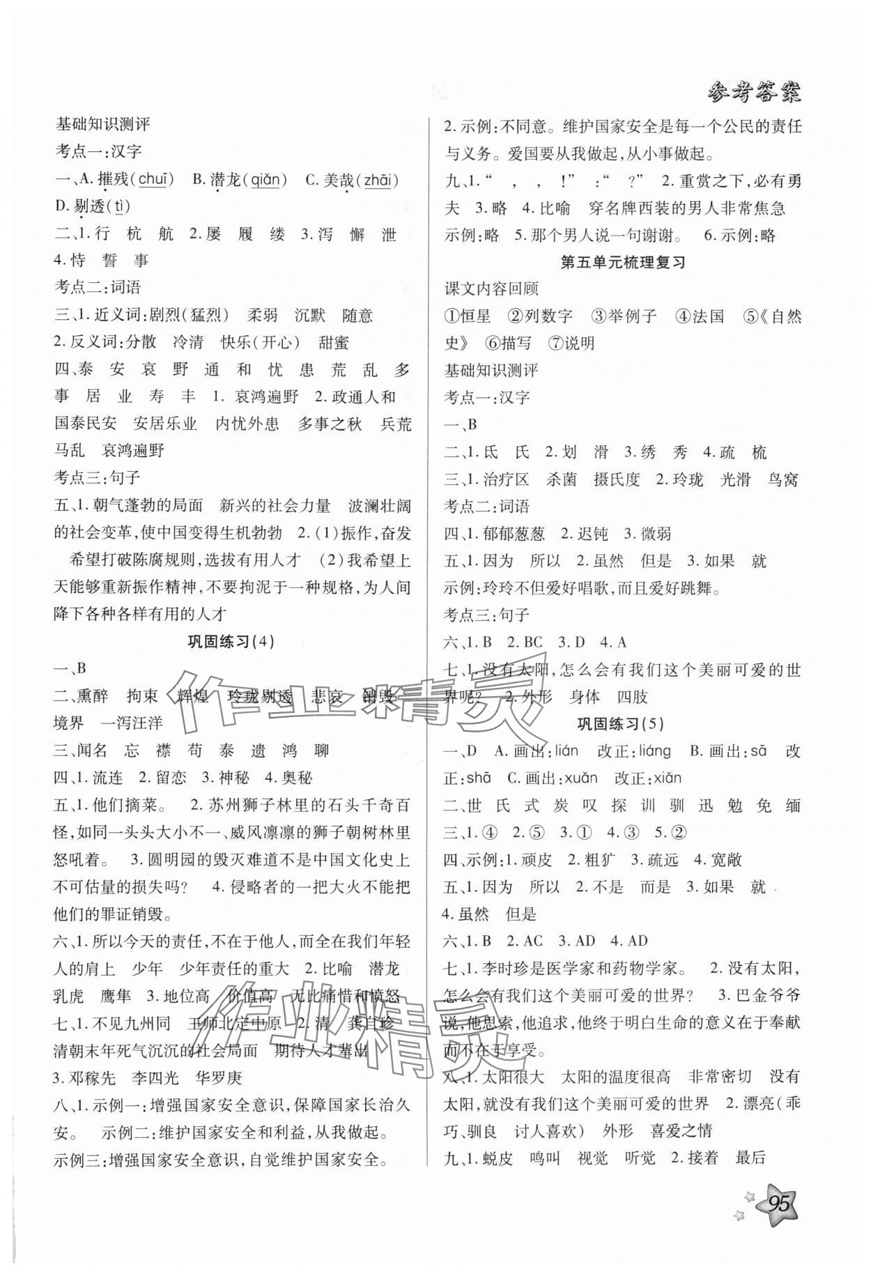 2025年好學(xué)生復(fù)習(xí)計(jì)劃30天五年級(jí)語文人教版 第3頁