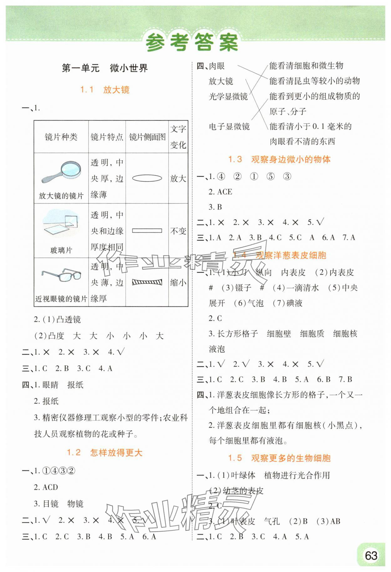 2025年黄冈同步练一日一练六年级科学上册教科版 参考答案第1页