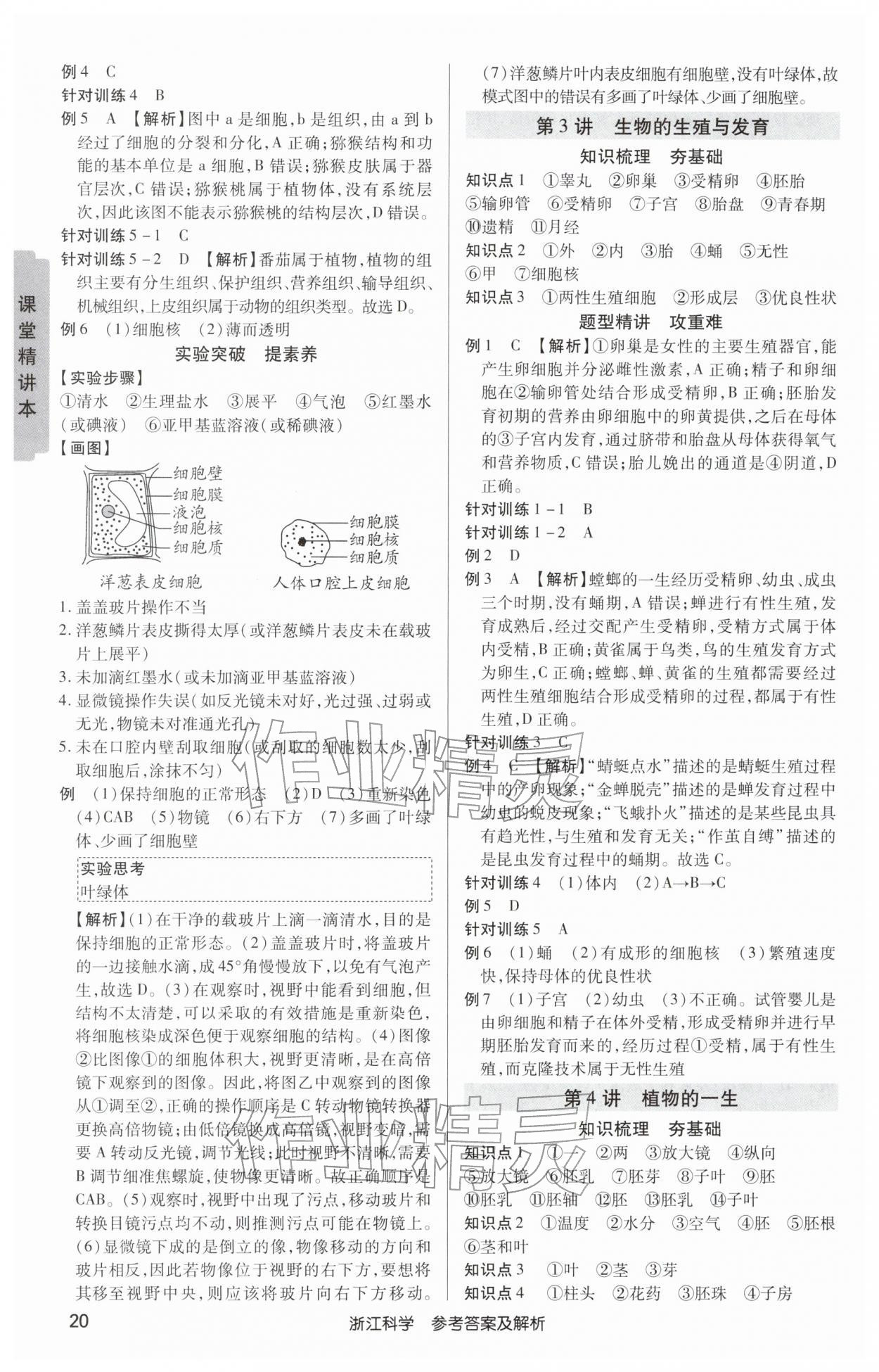 2026年浙江新中考科學(xué)&nbsp;第20頁