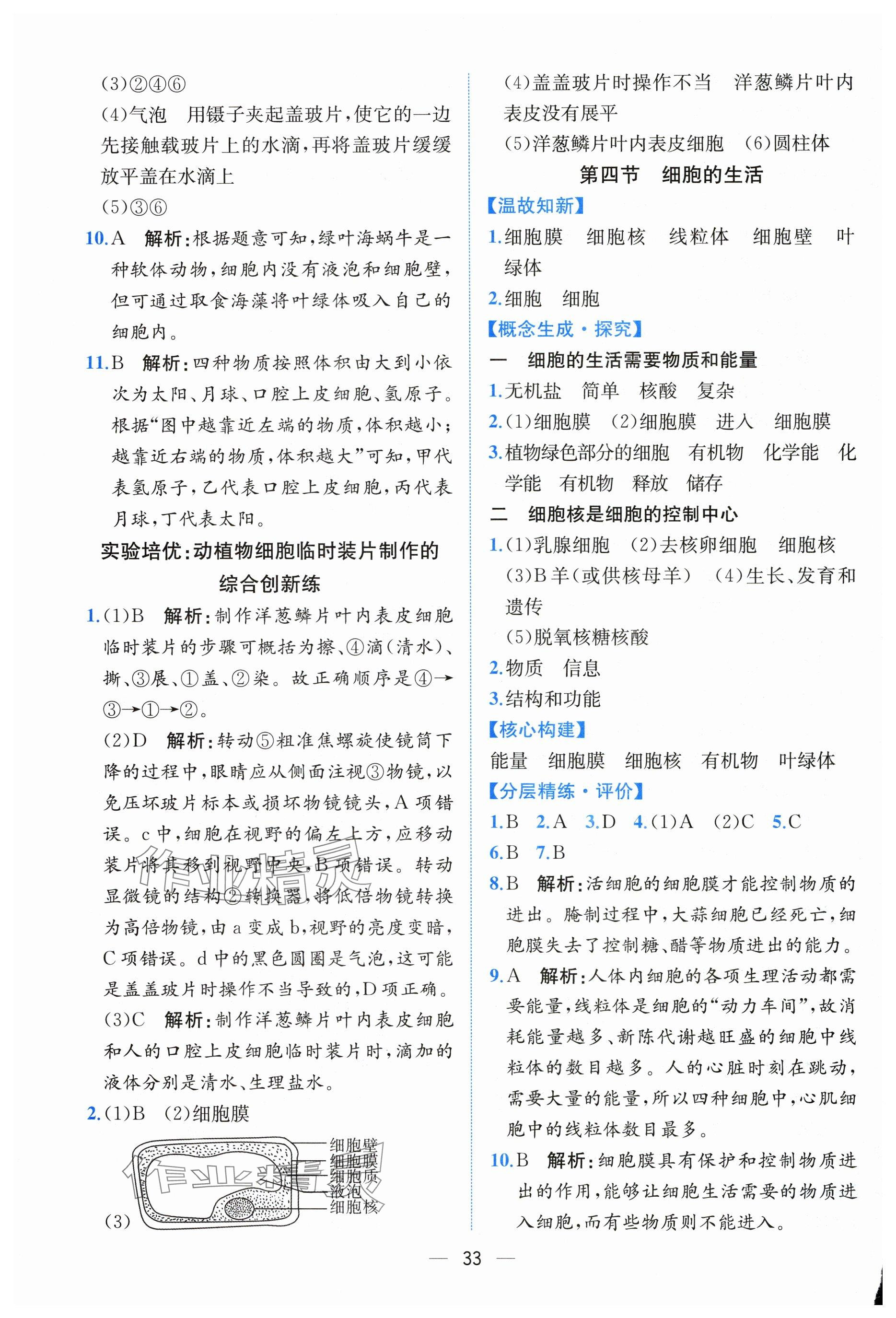 2025年课时练人民教育出版社七年级生物上册人教版 第5页