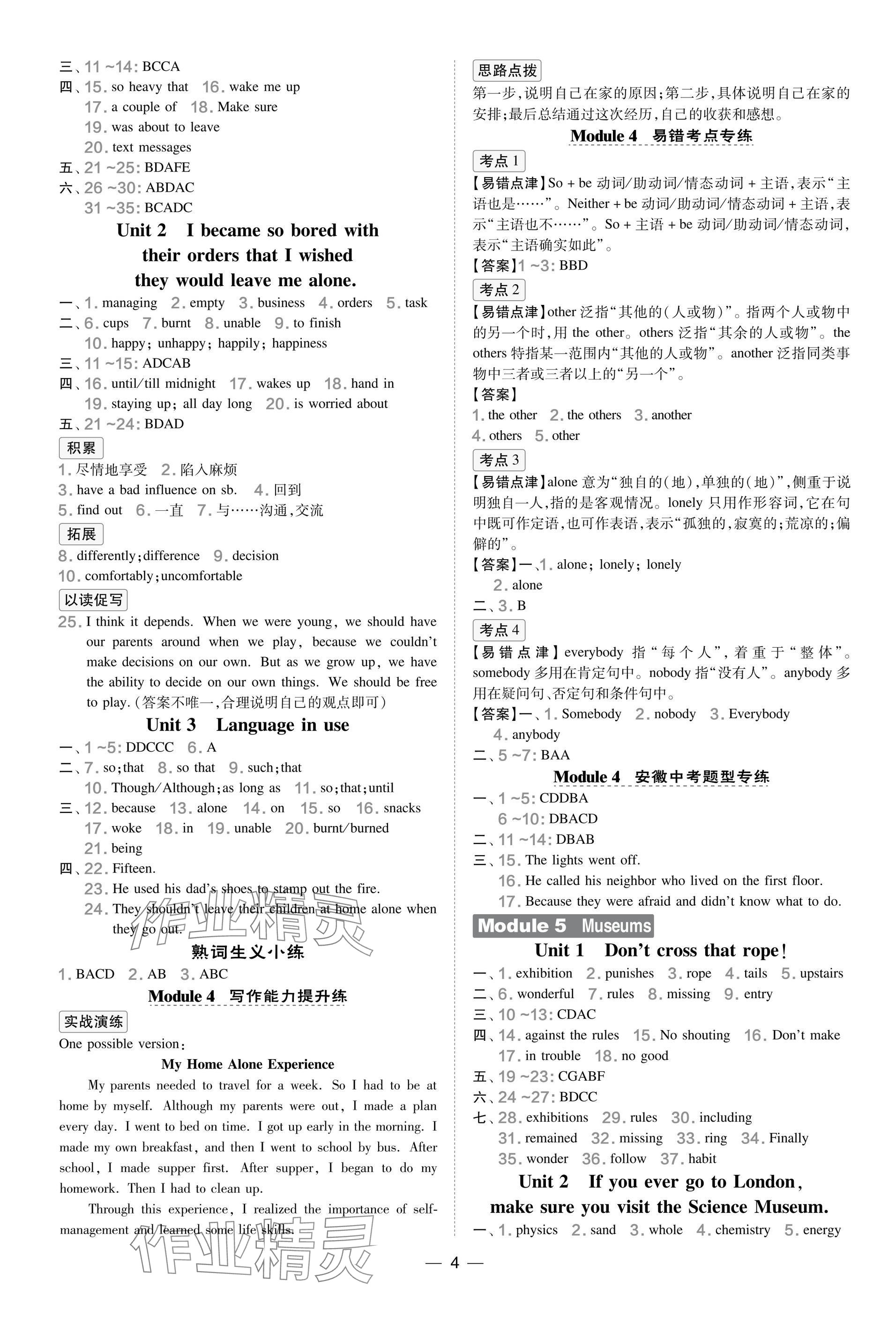 2025年點撥訓練九年級英語上冊外研版安徽專版&nbsp;參考答案第4頁