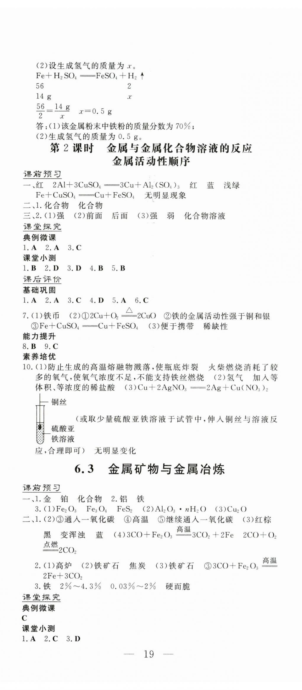 2025年南方新課堂金牌學(xué)案九年級(jí)化學(xué)下冊(cè)科粵版 第2頁(yè)