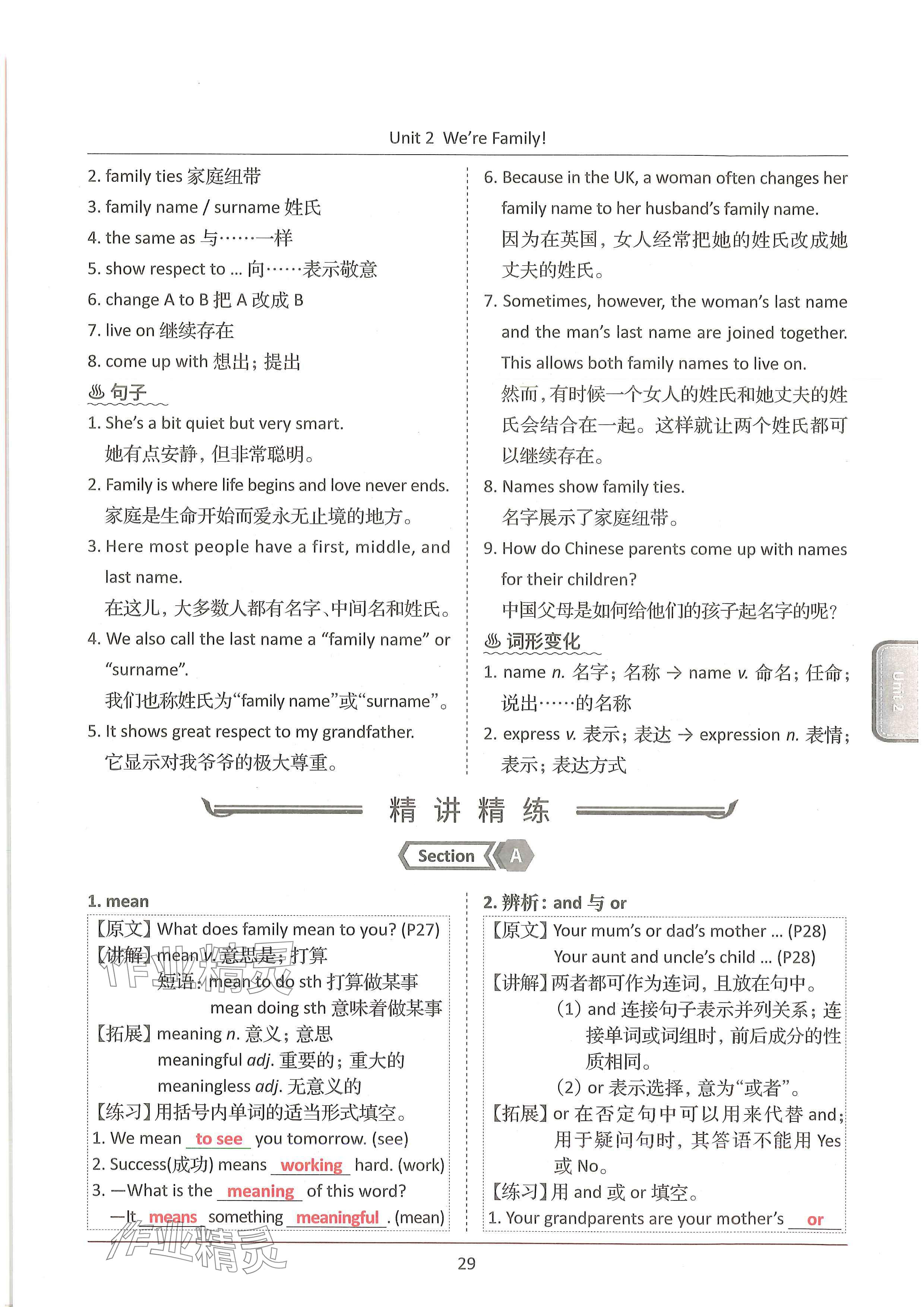 2024年新视界单元复习七年级英语上册人教版&nbsp;参考答案第29页