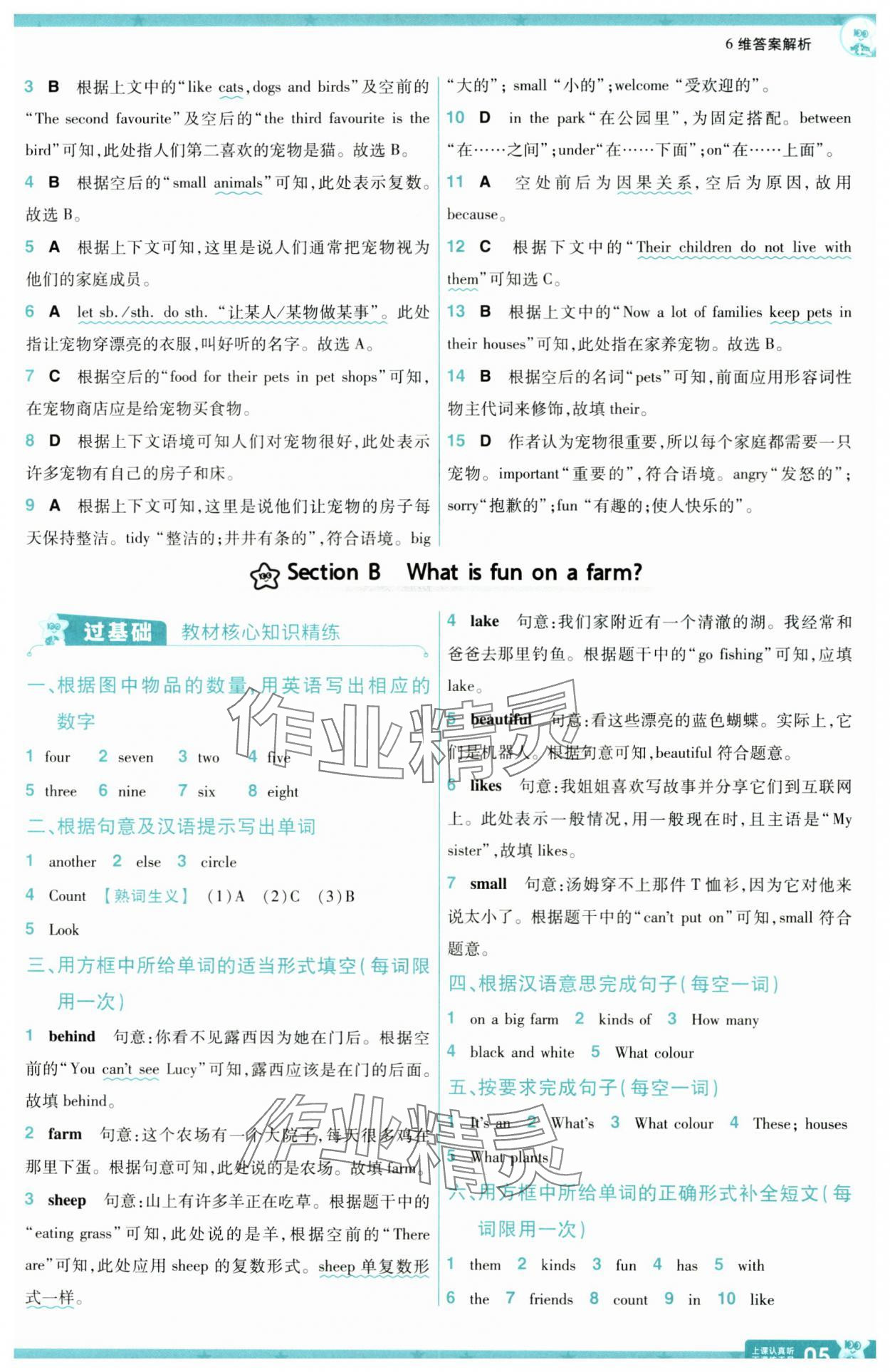 2025年一遍過(guò)七年級(jí)英語(yǔ)上冊(cè)人教版河南專版 第5頁(yè)