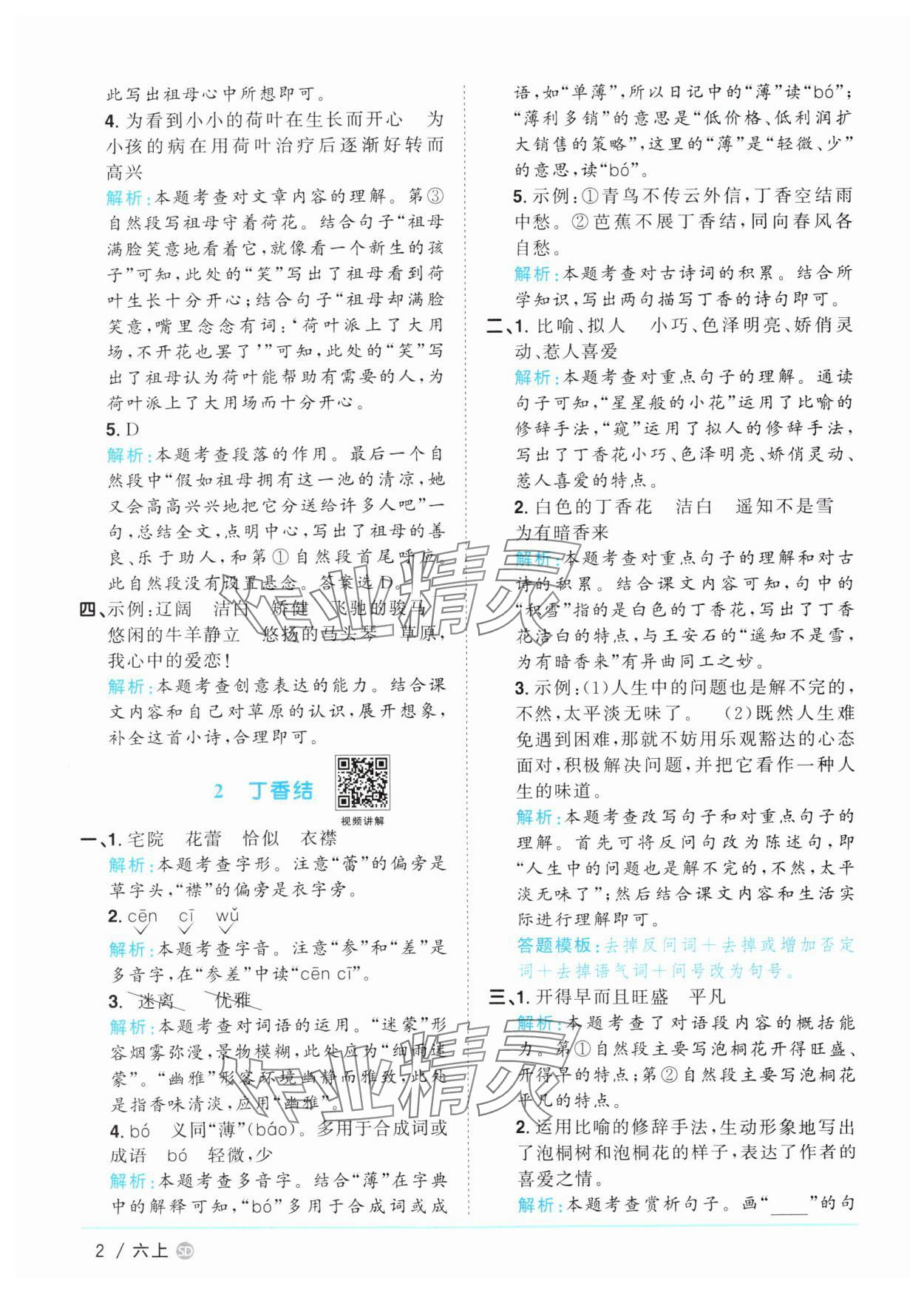 2025年阳光同学课时优化作业六年级语文上册人教版菏泽专版 第2页