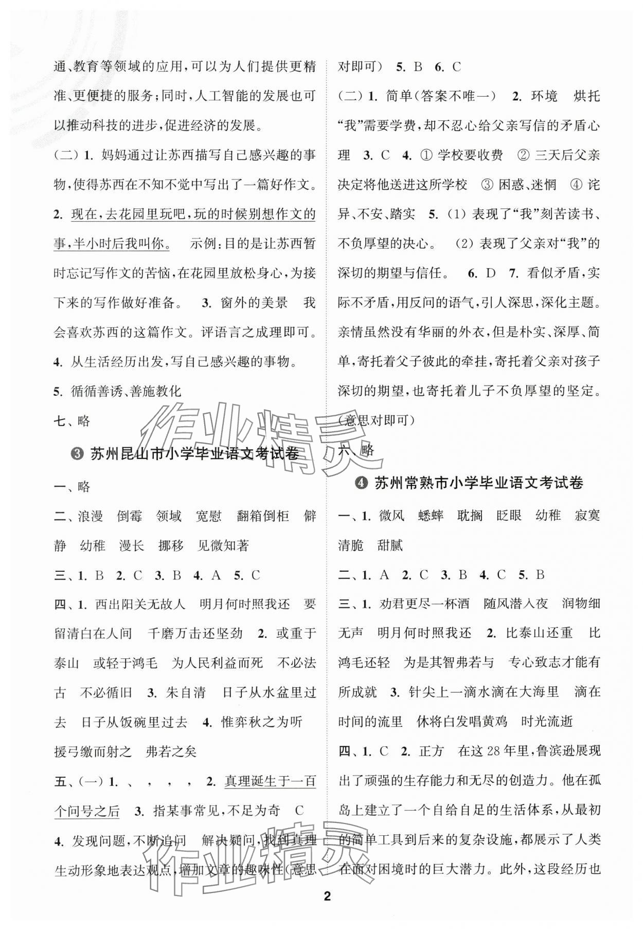 2025年小学毕业甄选卷语文 第2页