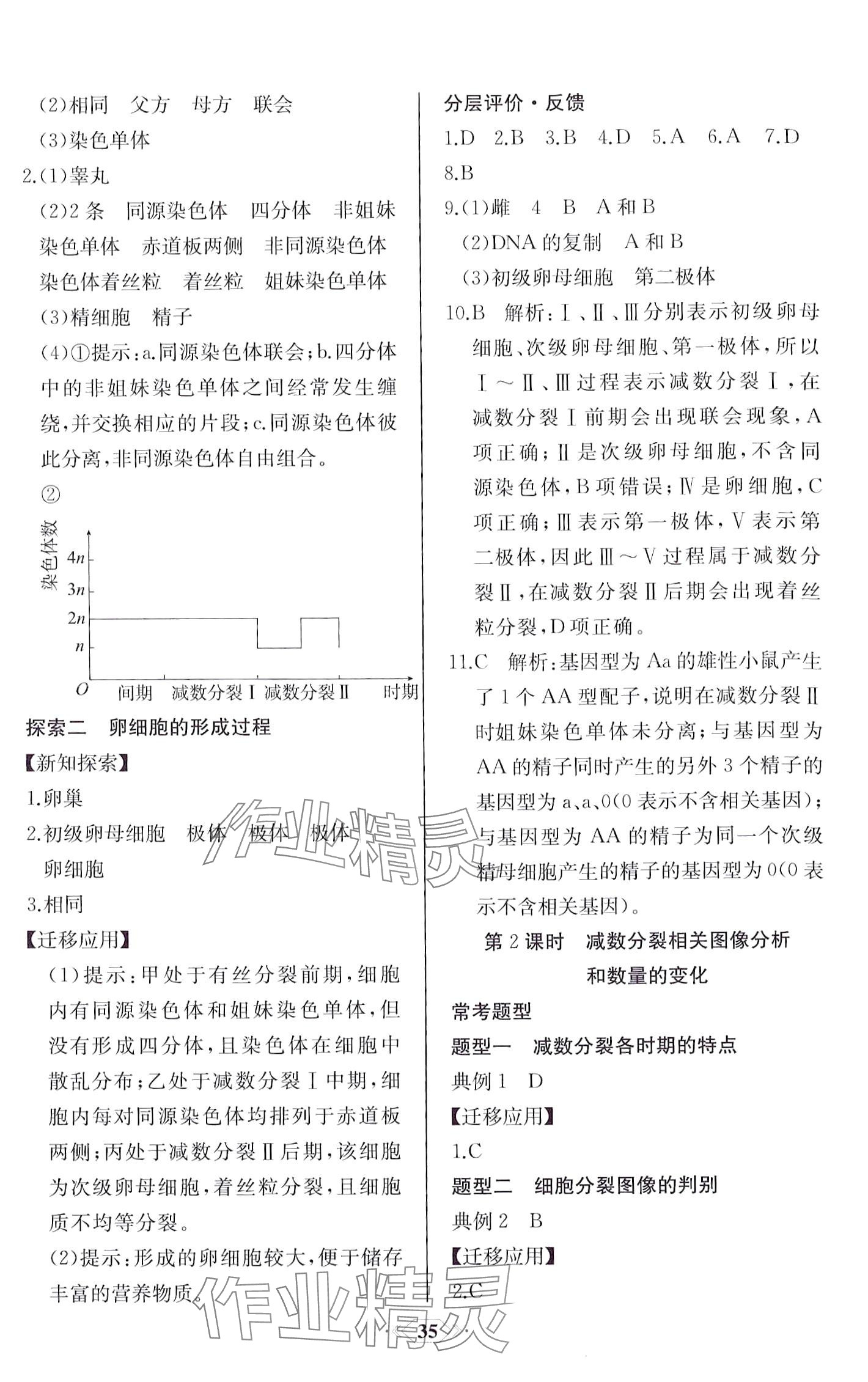 2024年同步解析與測(cè)評(píng)課時(shí)練（遺傳與進(jìn)化）高中生物必修2人教版 第5頁(yè)