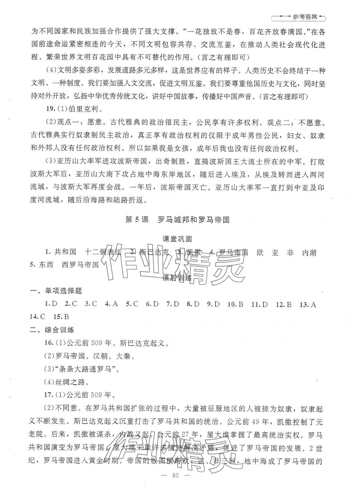2025年课堂精练九年级历史上册人教版哈尔滨专版 第5页