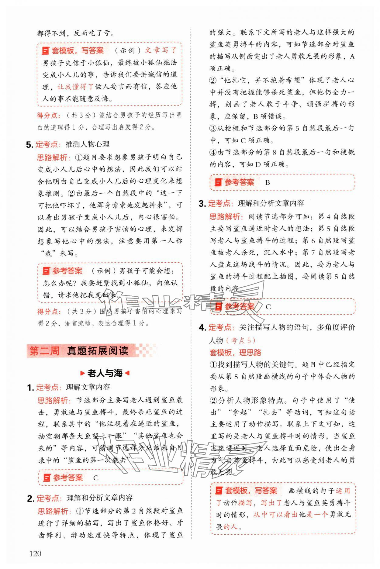 2025年閱讀理解與答題模板六年級語文下冊人教版 參考答案第12頁