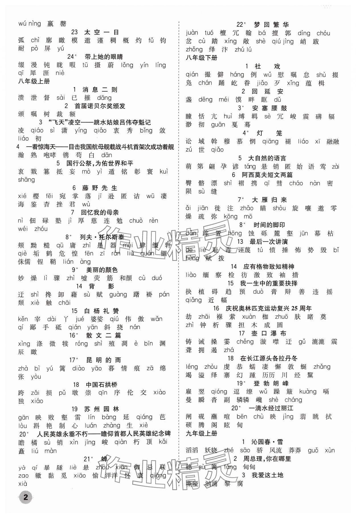 2024年中考大数据语文中考河北专版 参考答案第2页