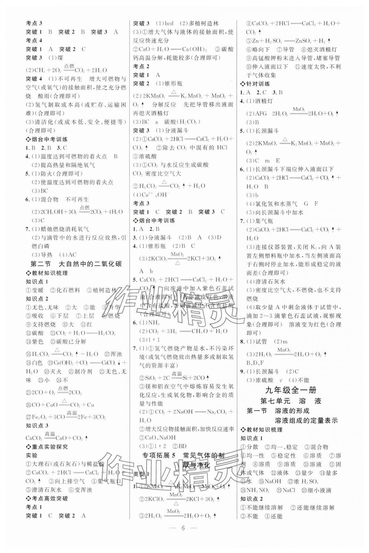 2025年全程导航初中总复习化学鲁教版烟台专版 第6页