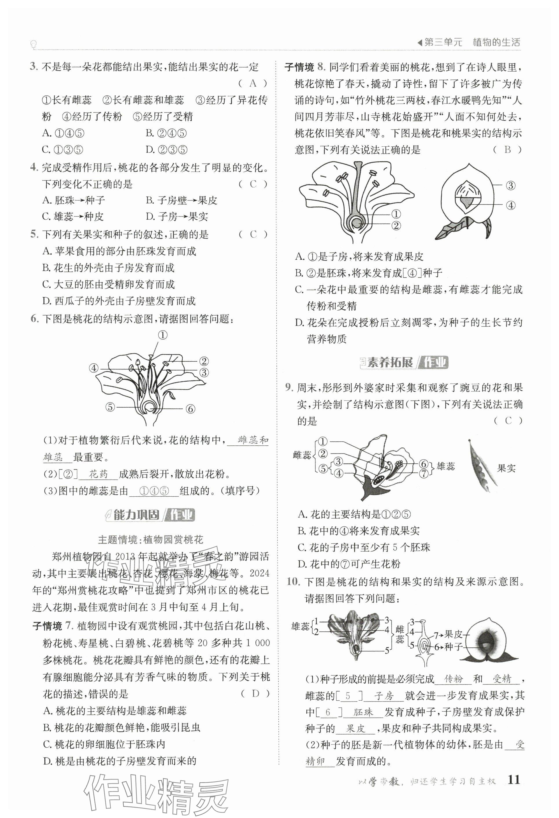2025年金太陽導(dǎo)學(xué)案七年級(jí)生物下冊(cè)人教版 參考答案第11頁