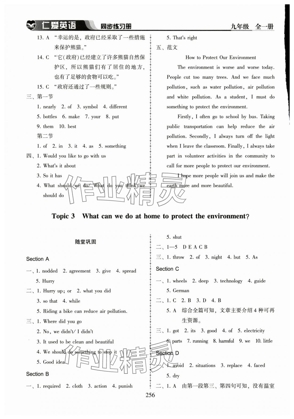 2025年仁愛英語同步練習(xí)冊(cè)九年級(jí)全一冊(cè)仁愛版河南專版 第12頁