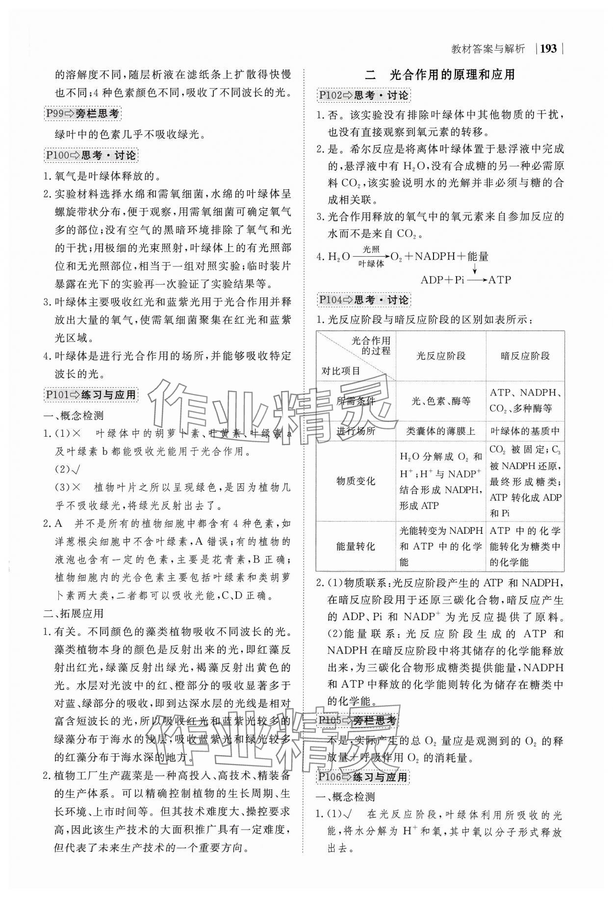 2023年綠色通道高中生物必修1分子與細(xì)胞人教版 參考答案第13頁