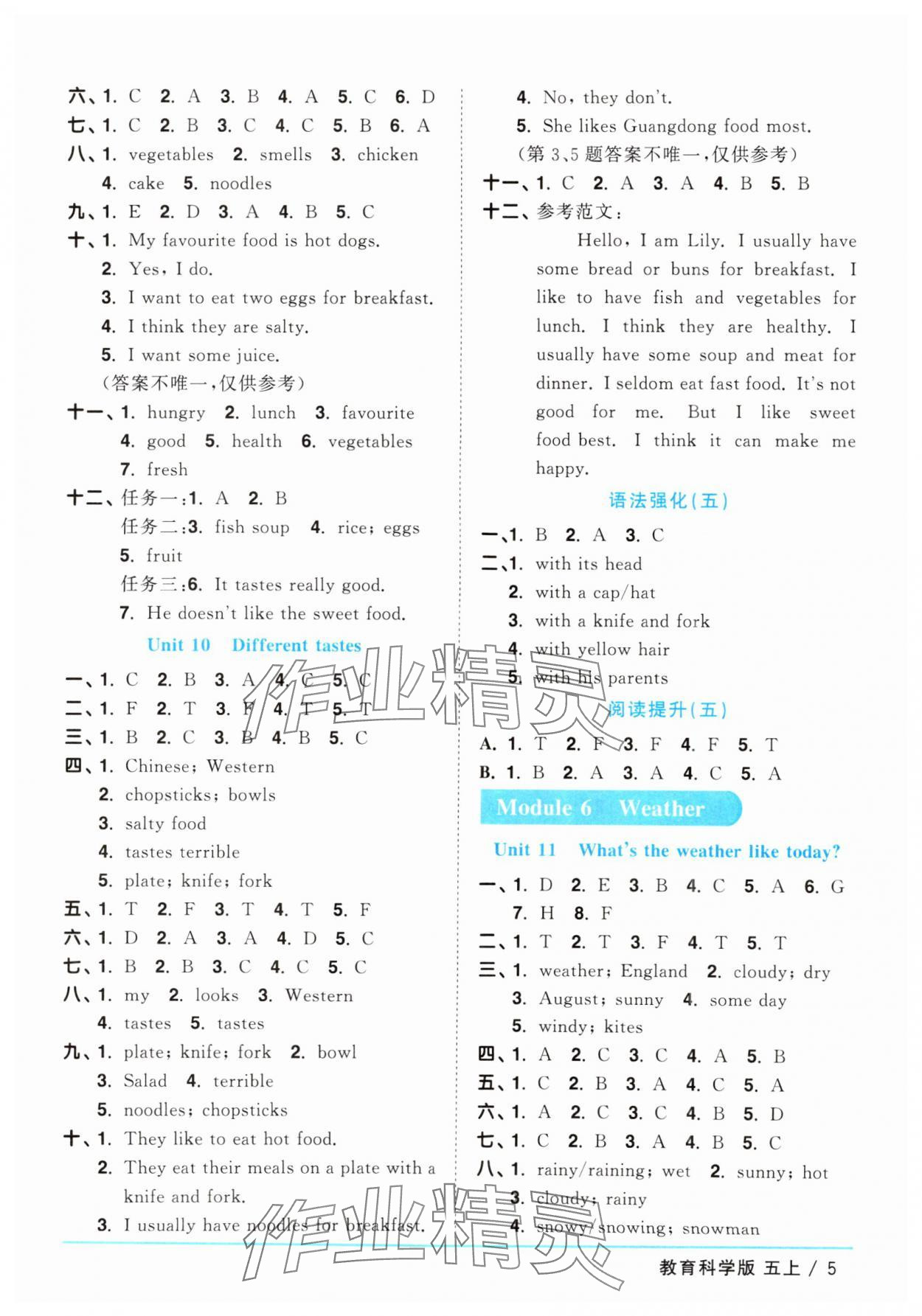 2025年陽光同學(xué)課時優(yōu)化作業(yè)五年級英語上冊教科版廣州專版 第5頁
