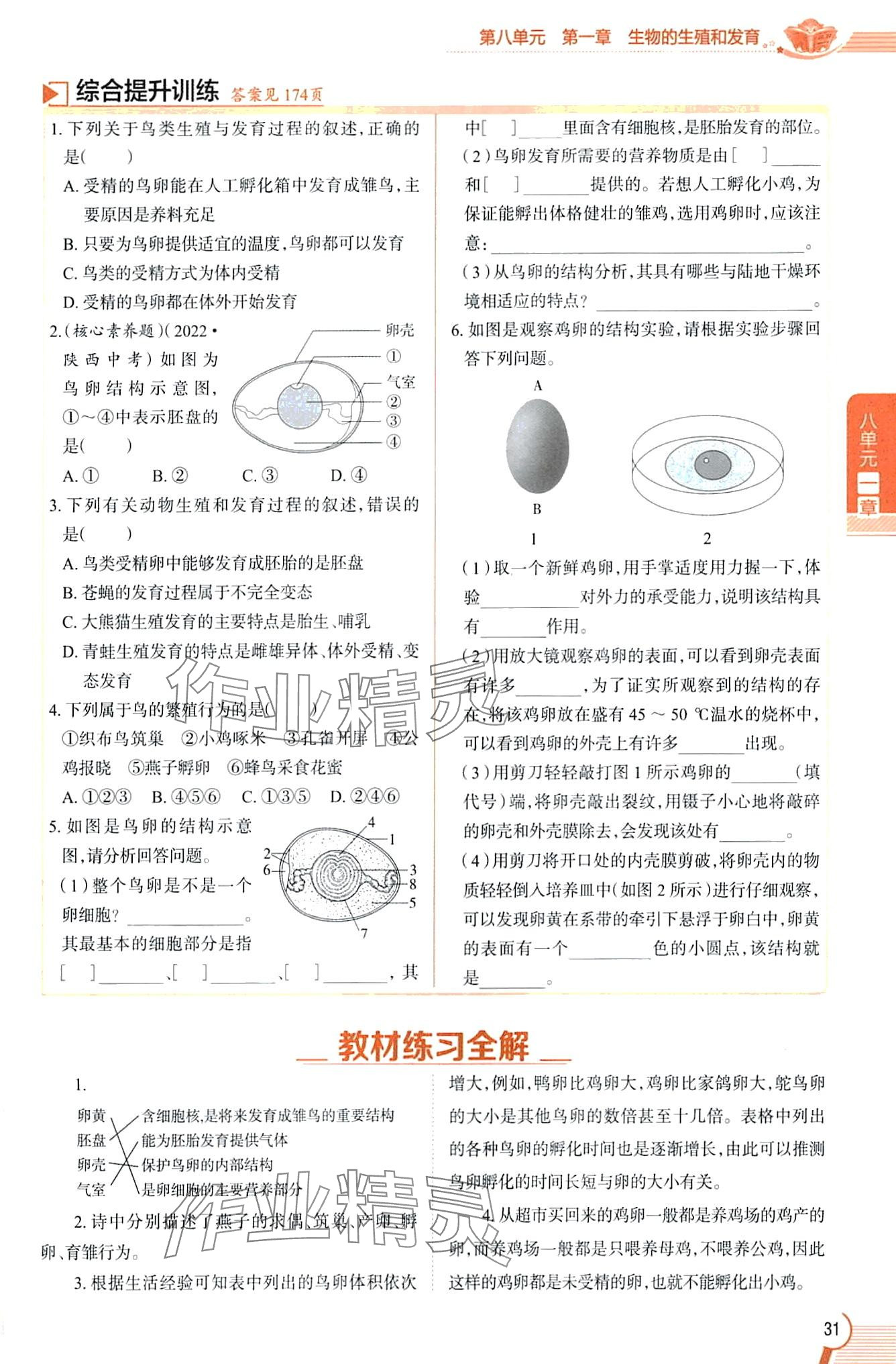 2024年教材課本八年級生物下冊魯科版五四制 第31頁