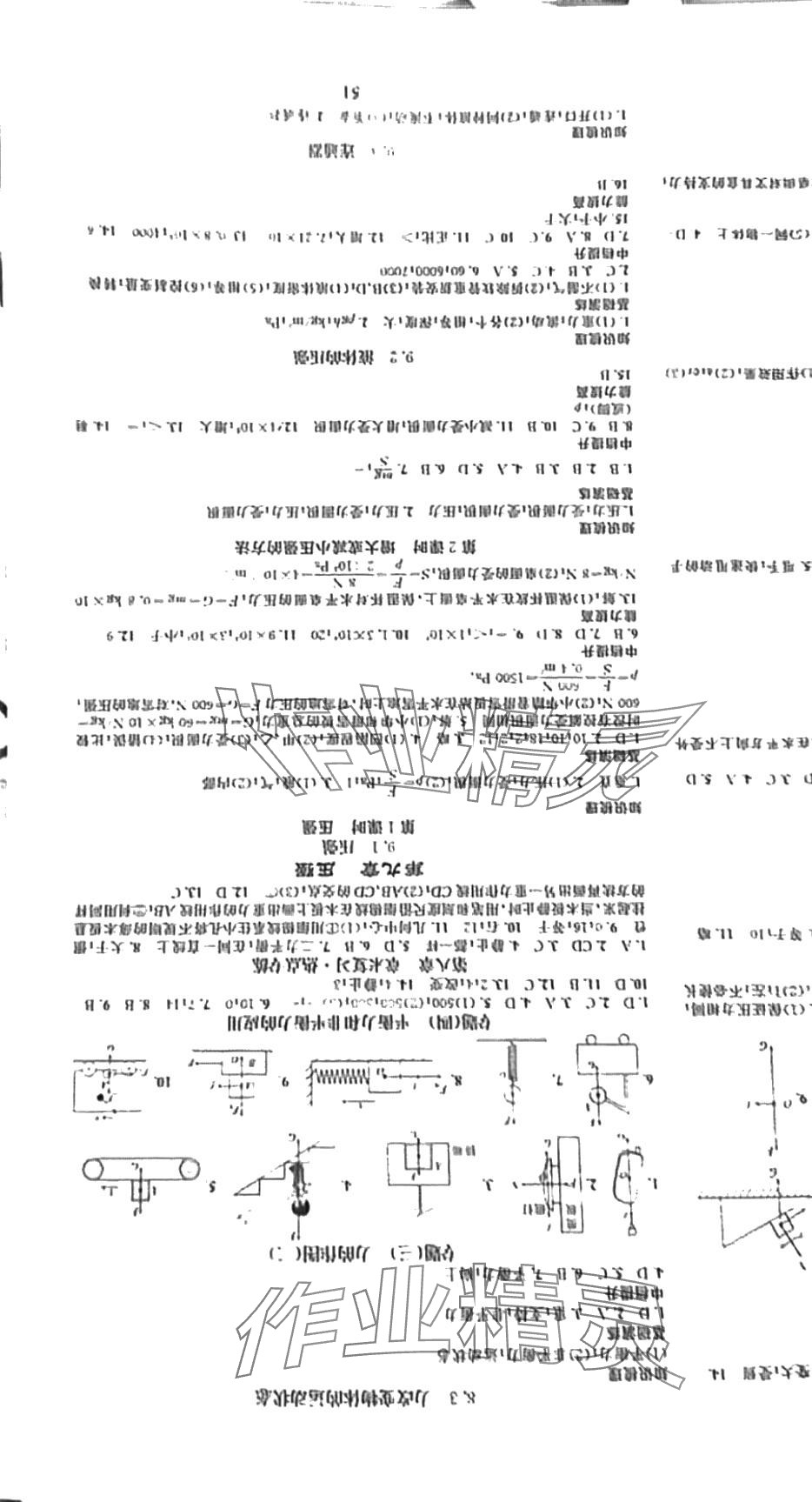 2024年智慧學(xué)堂八年級(jí)物理下冊教科版 第3頁