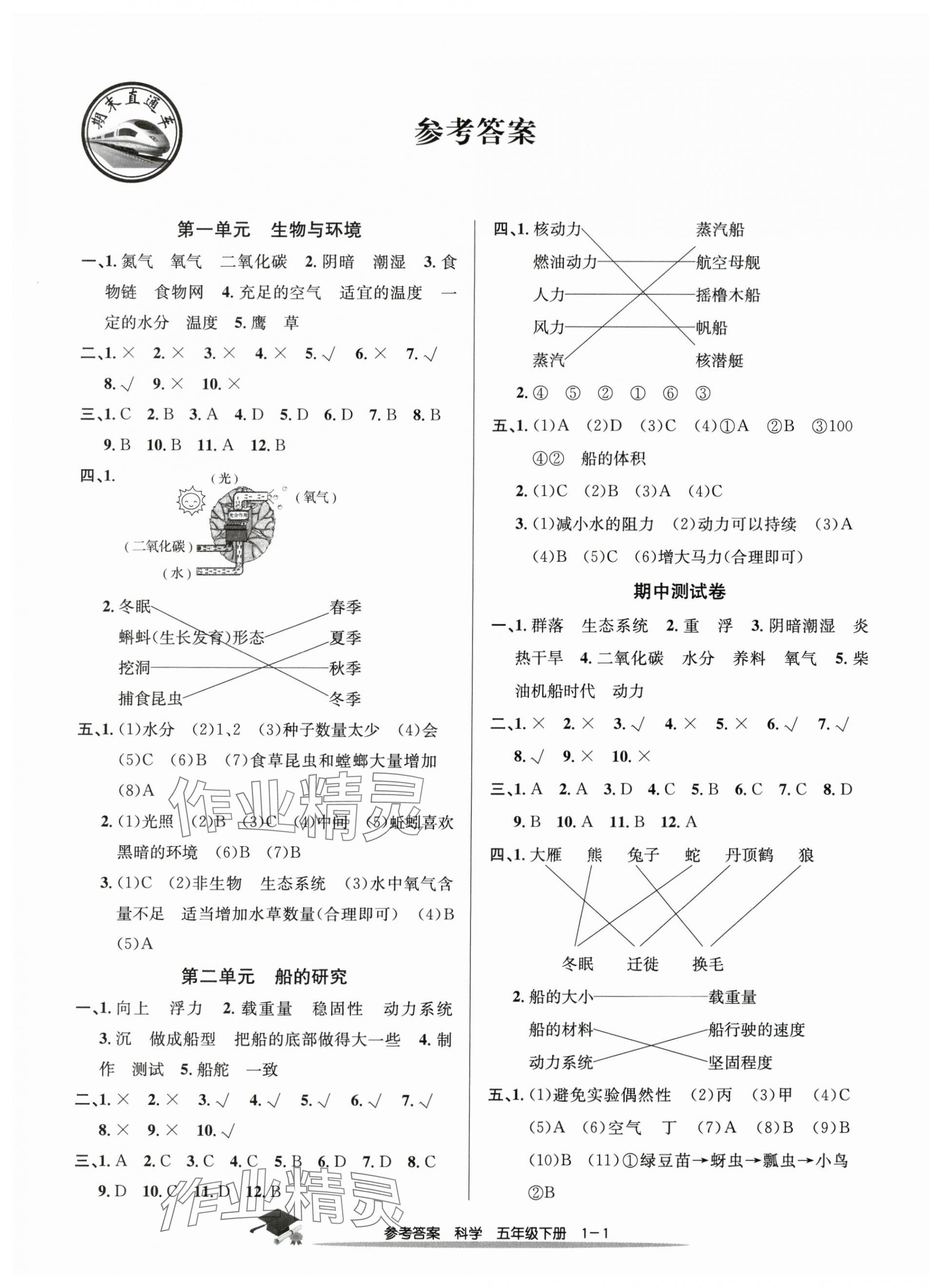 2025年期末直通車五年級科學下冊教科版 參考答案第1頁
