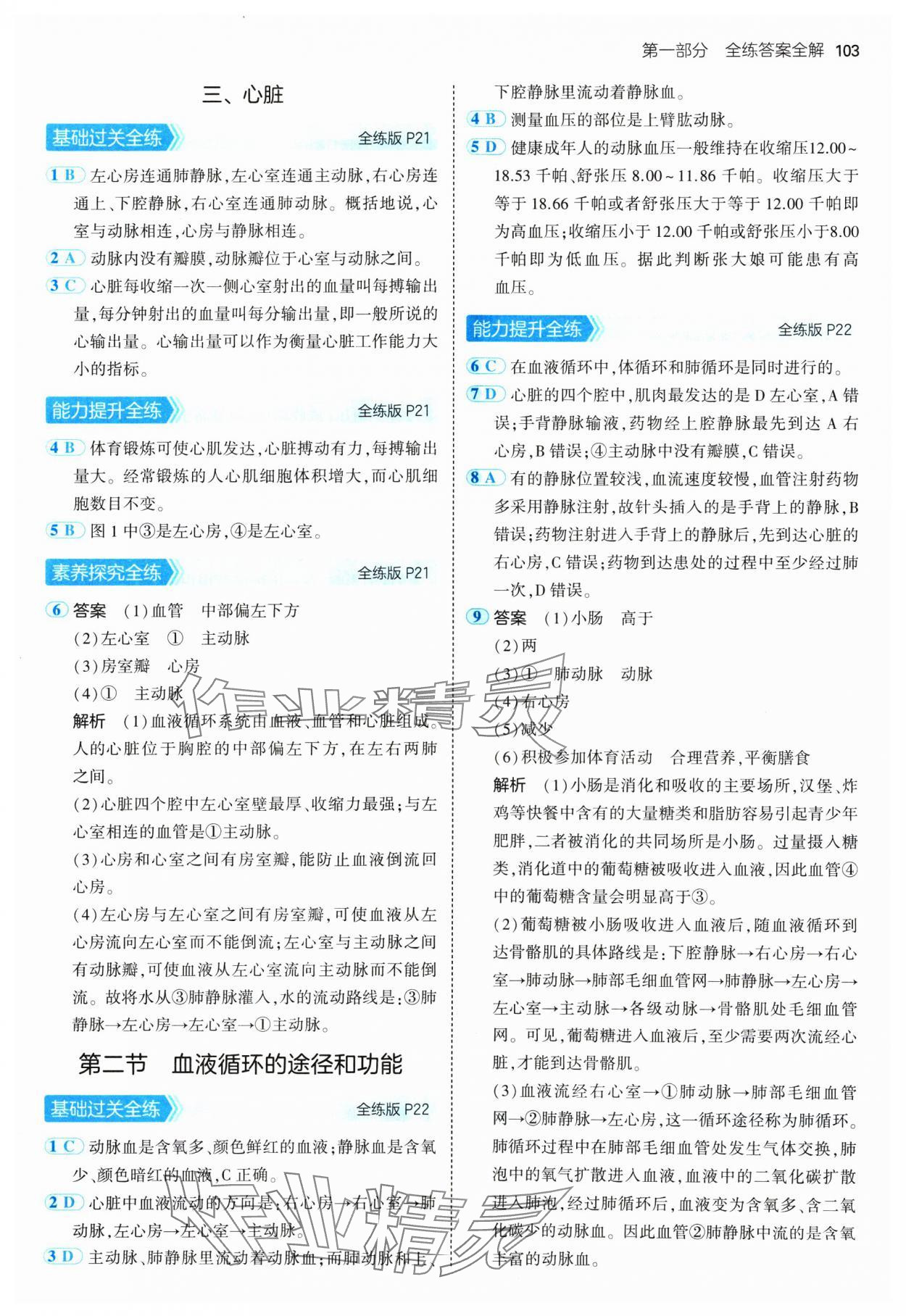2025年5年中考3年模拟七年级生物下册冀少版 第9页