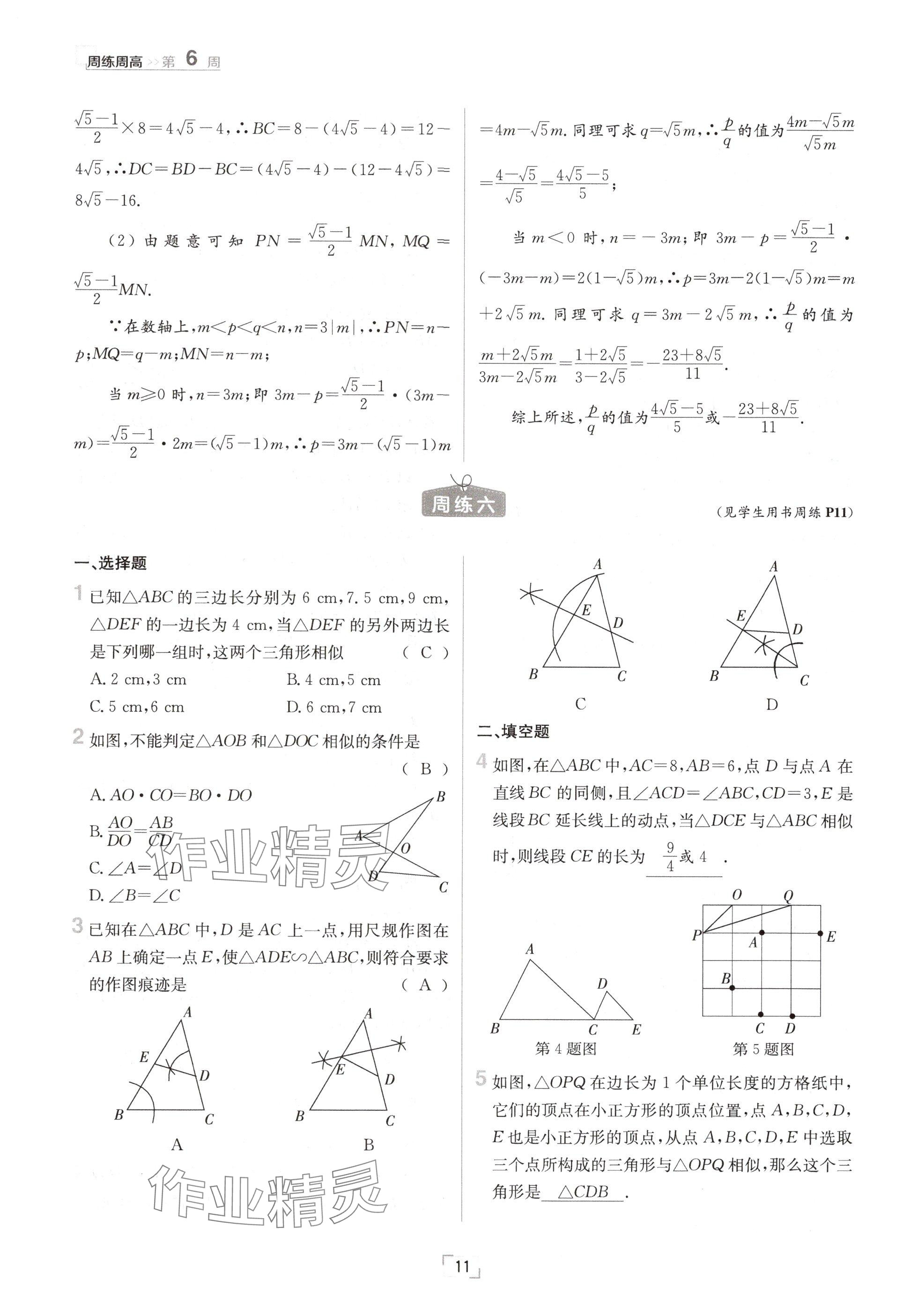 2024年日清周練九年級(jí)數(shù)學(xué)全一冊(cè)滬科版 參考答案第11頁(yè)