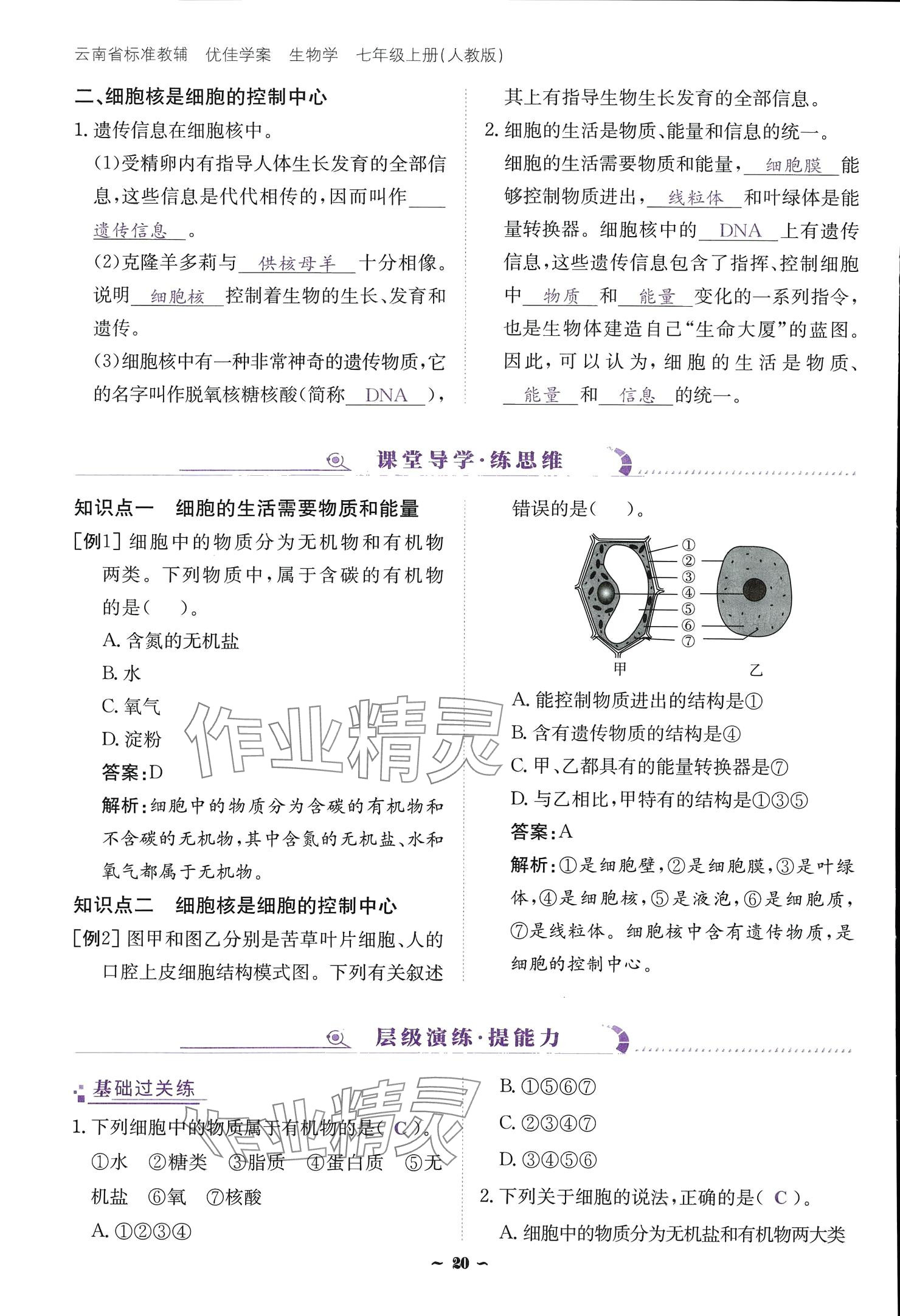 2024云南省標(biāo)準(zhǔn)教輔優(yōu)佳學(xué)案七年級生物上冊 參考答案第20頁