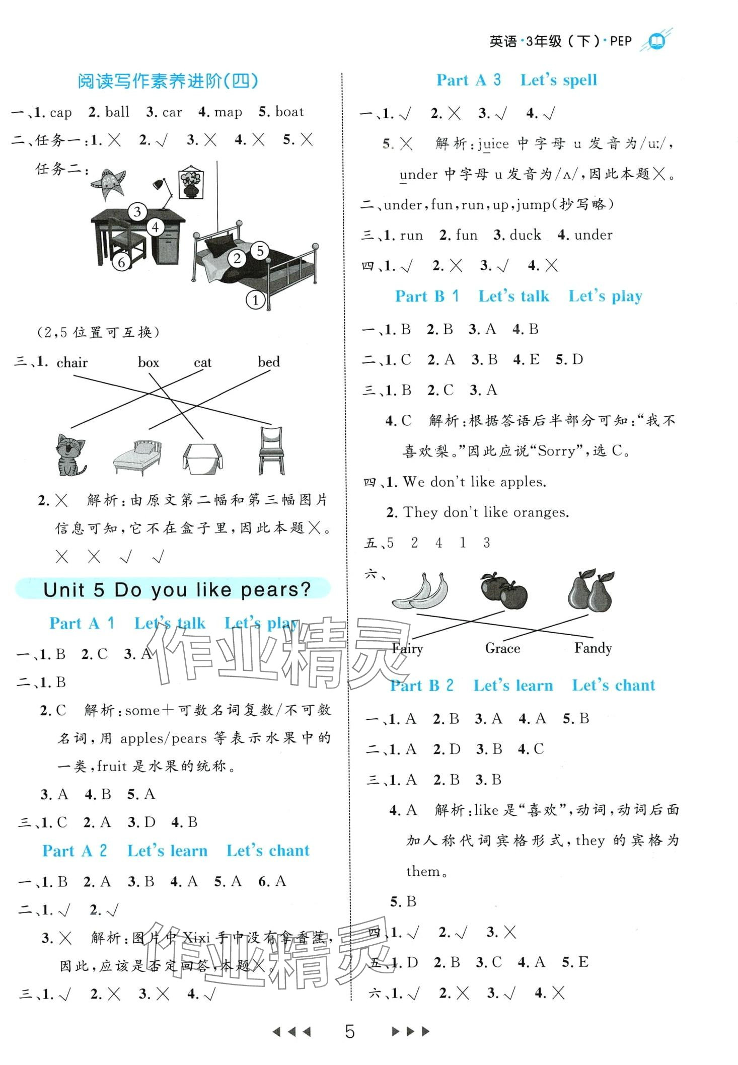 2024年細(xì)解巧練三年級(jí)英語(yǔ)下冊(cè)人教版 第5頁(yè)