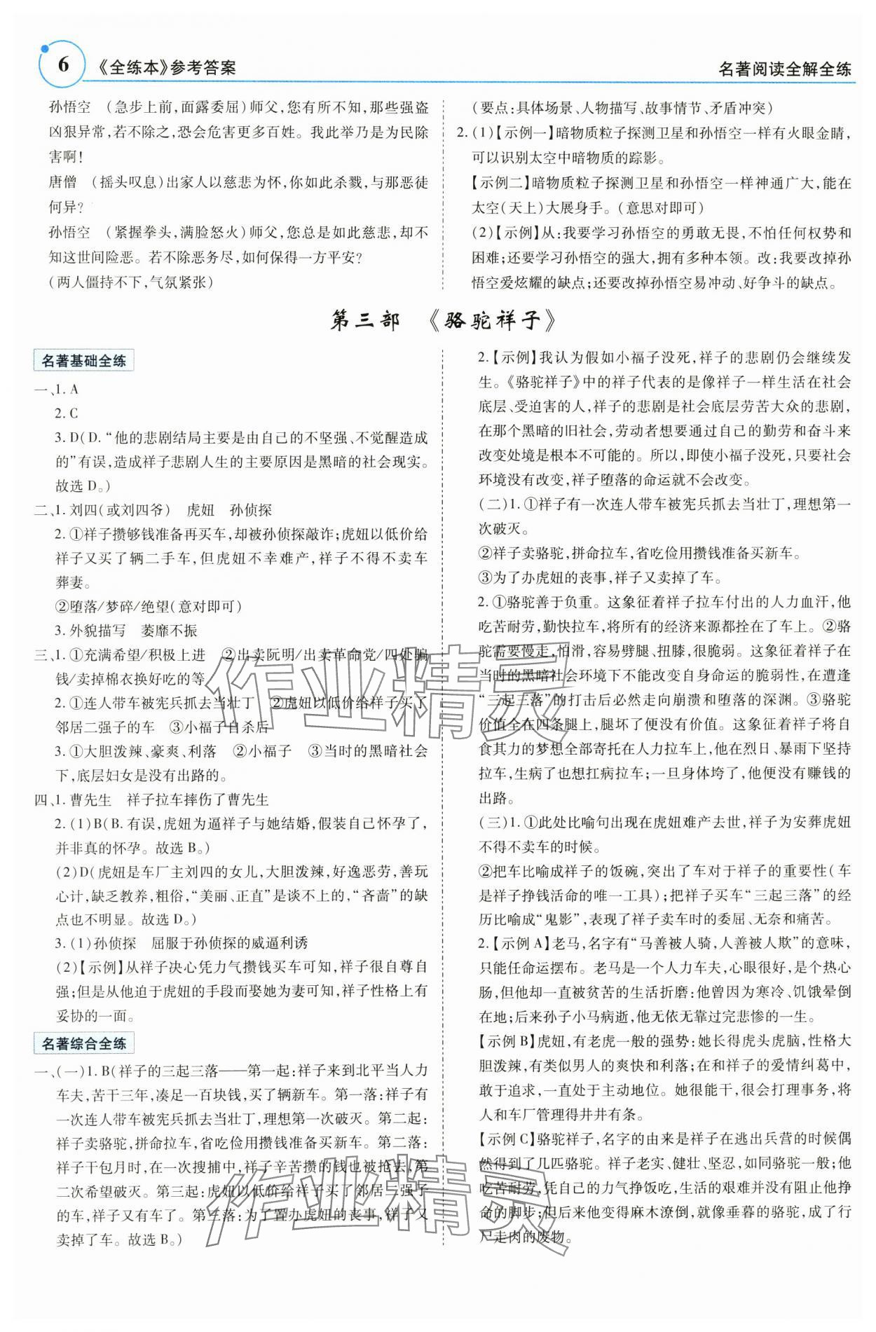 2025年广东名著阅读全解全练七至九年级 参考答案第6页