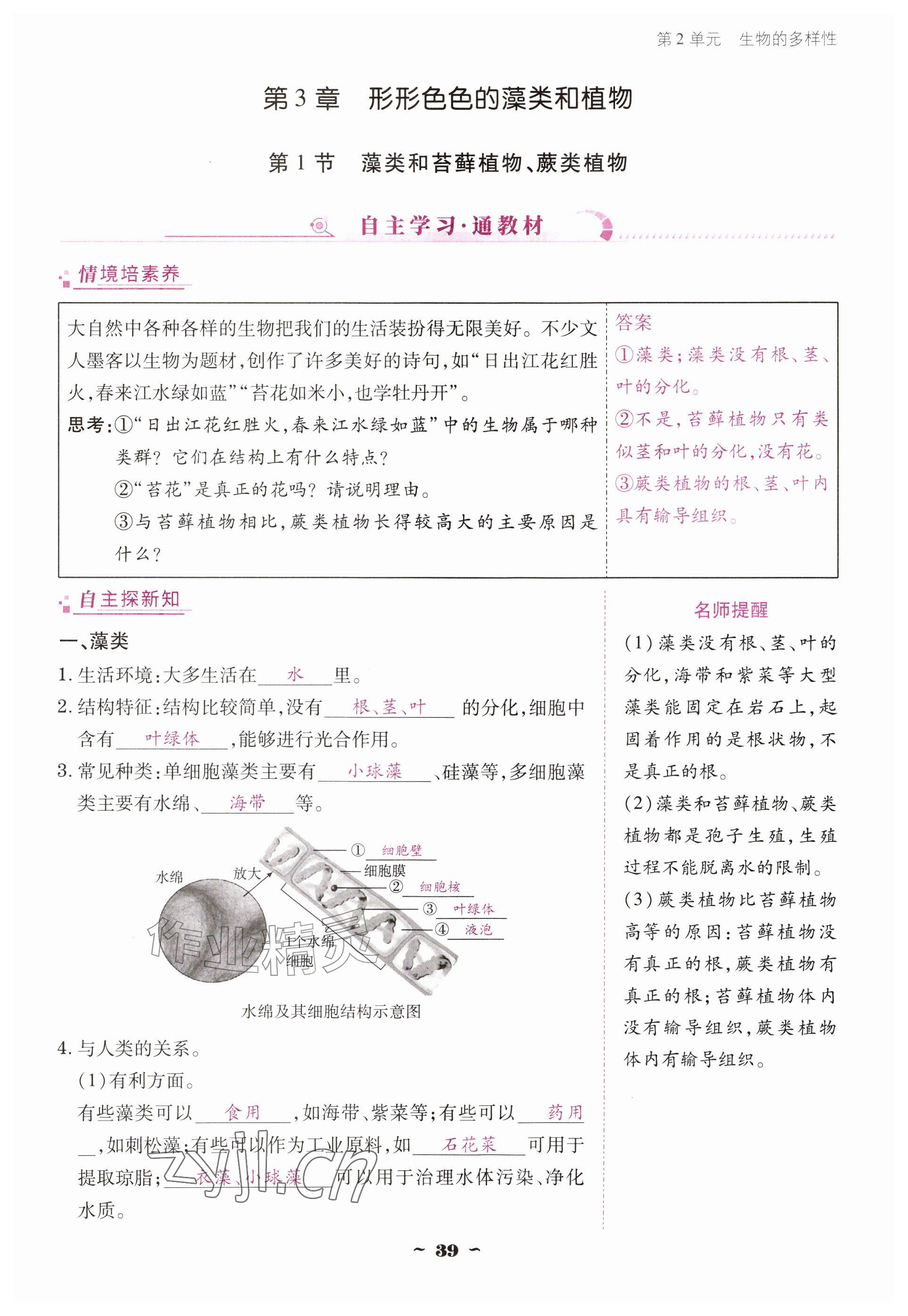 2026年云南省标准教辅优佳学案七年级历史上册人教版&nbsp;参考答案第39页