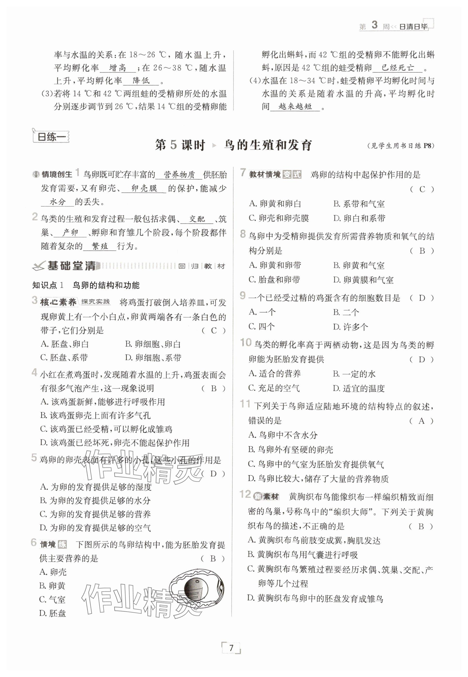 2025年日清周练八年级生物下册人教版&nbsp;参考答案第7页