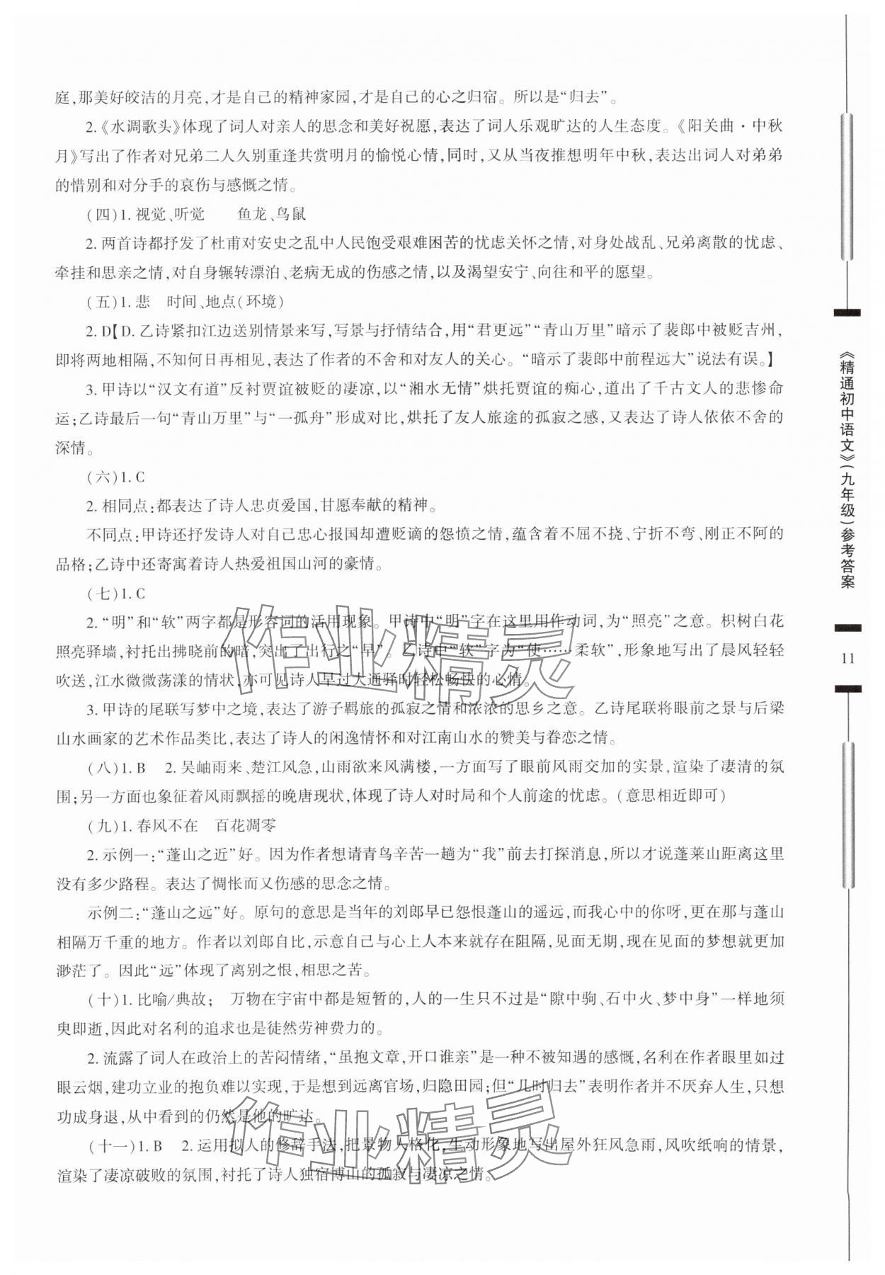 2025年精通初中語文九年級(jí)人教版 參考答案第11頁