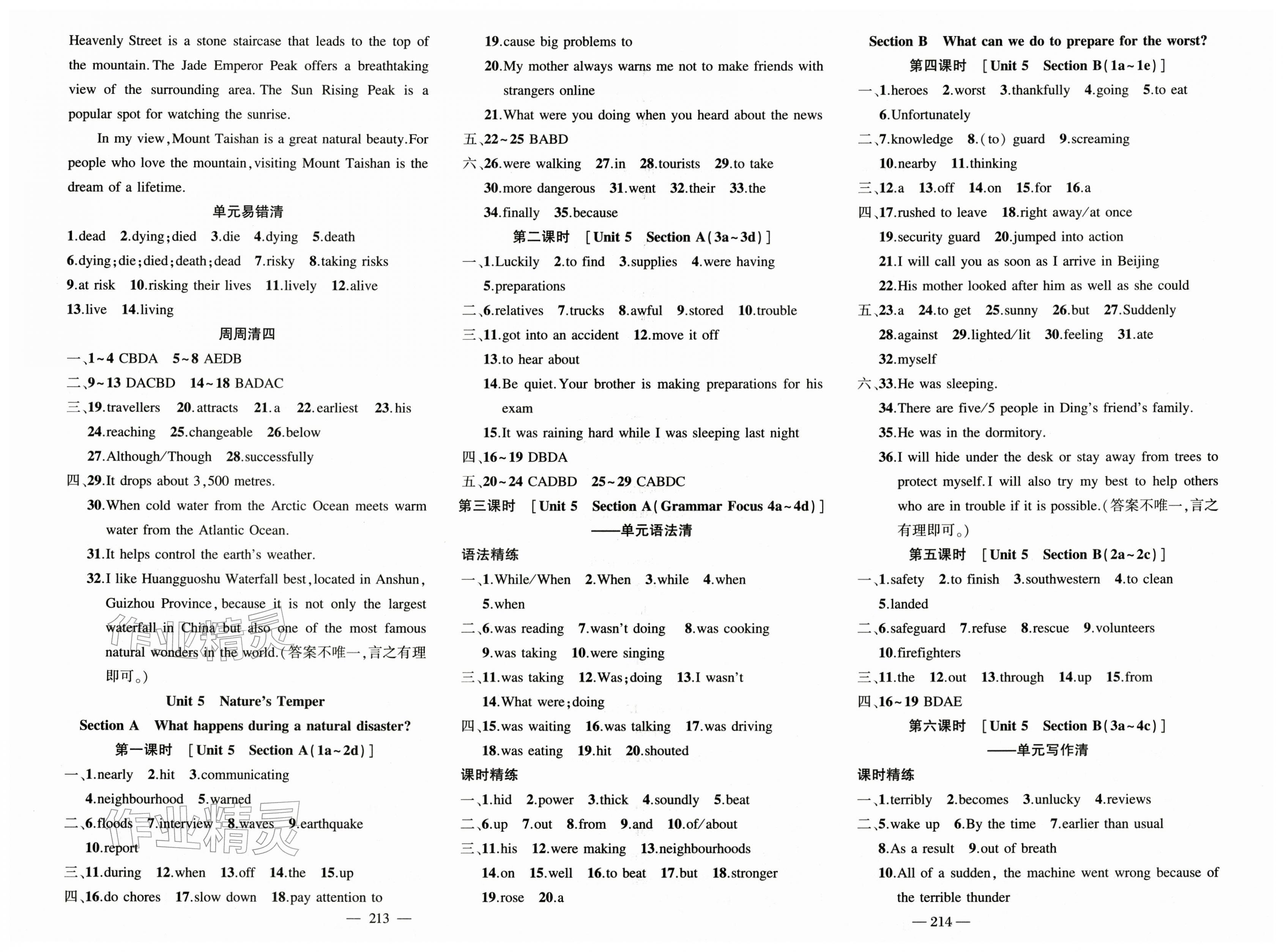 2026年四清导航八年级英语下册人教版辽宁专版&nbsp;第5页