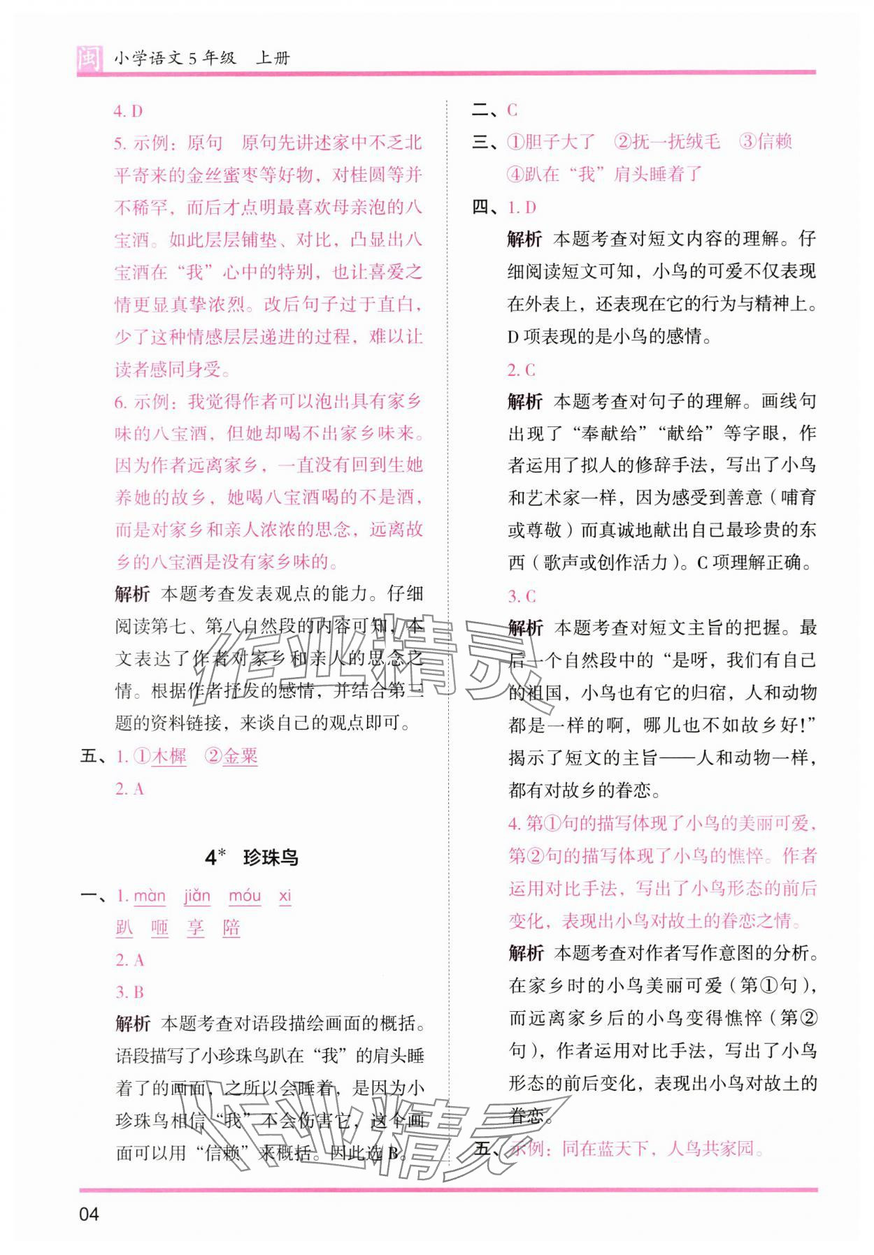 2025年木頭馬分層課課練五年級語文上冊人教版福建專版 第4頁