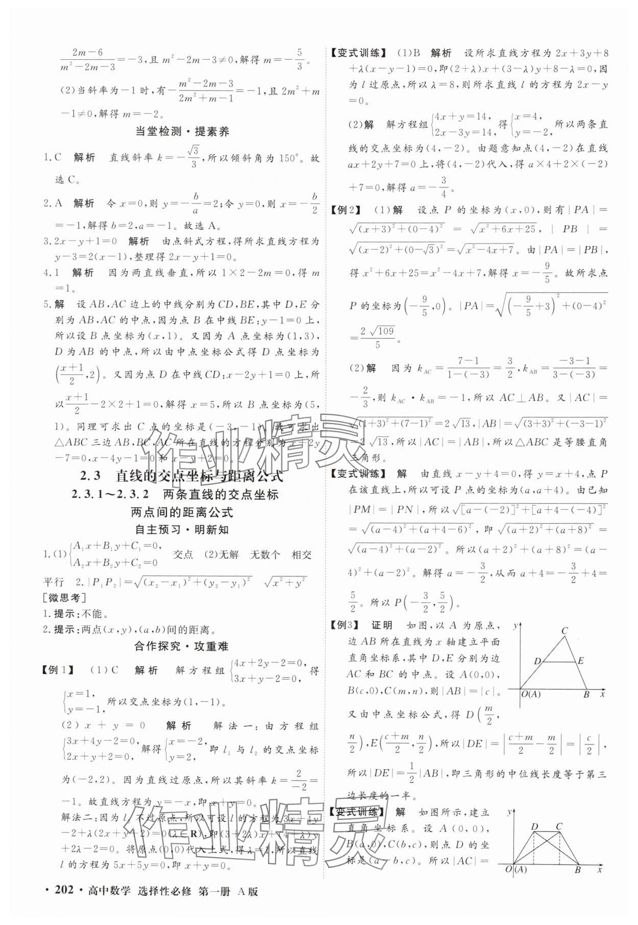 2025年贏在微點(diǎn)高中數(shù)學(xué)選擇性必修第一冊(cè)A版 參考答案第20頁(yè)