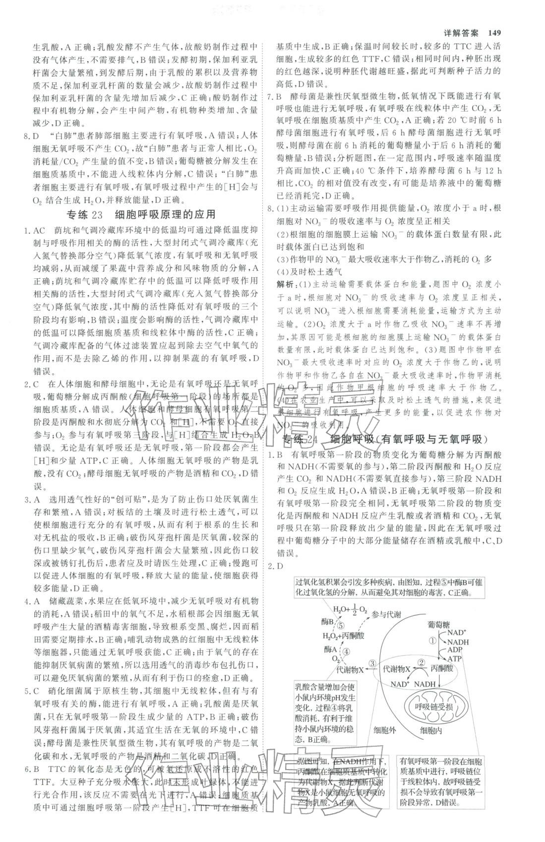 2025年微专题小练习高中生物全一册通用版&nbsp;第12页
