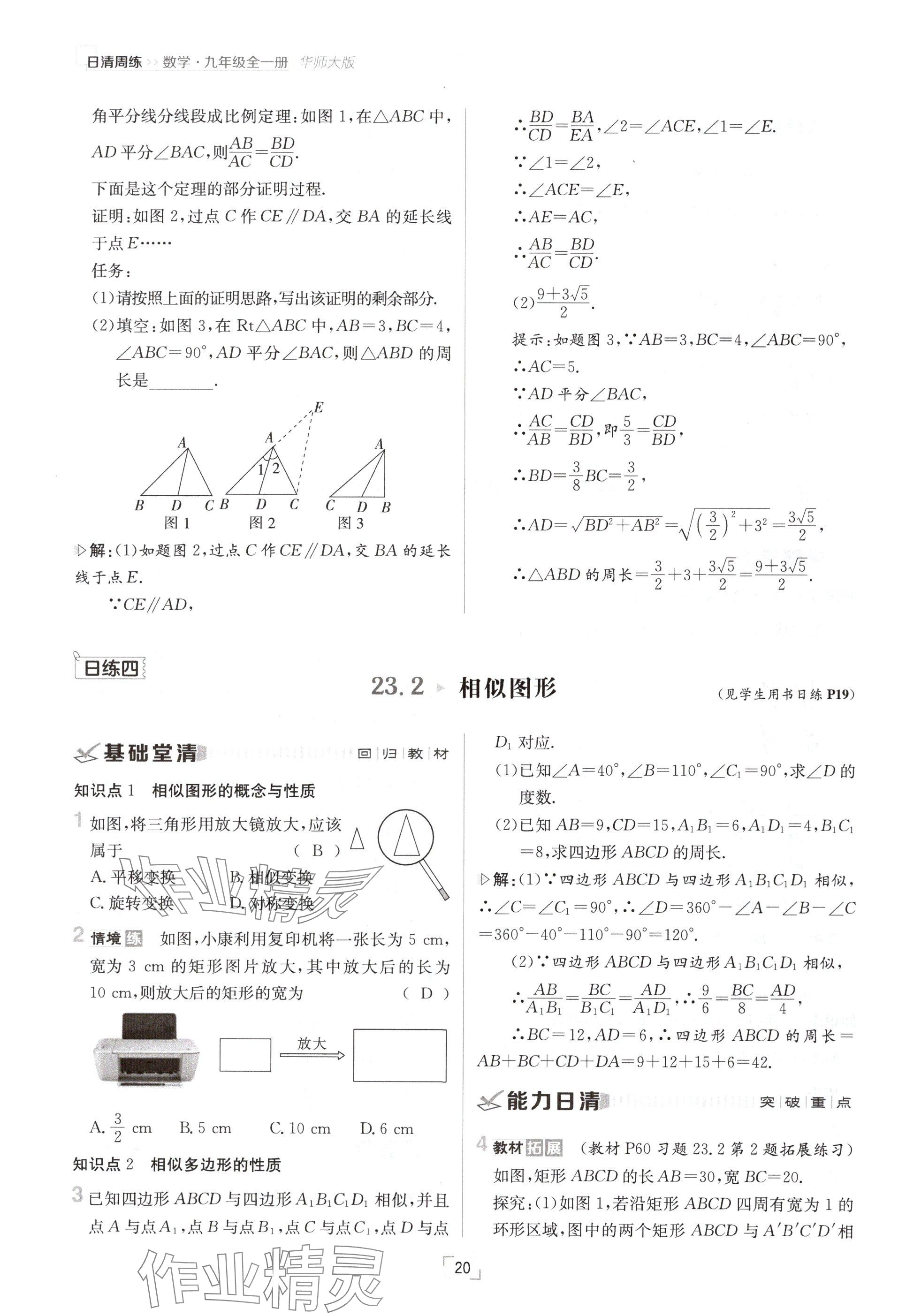 2024年日清周練九年級(jí)數(shù)學(xué)全一冊(cè)華師大版 參考答案第39頁