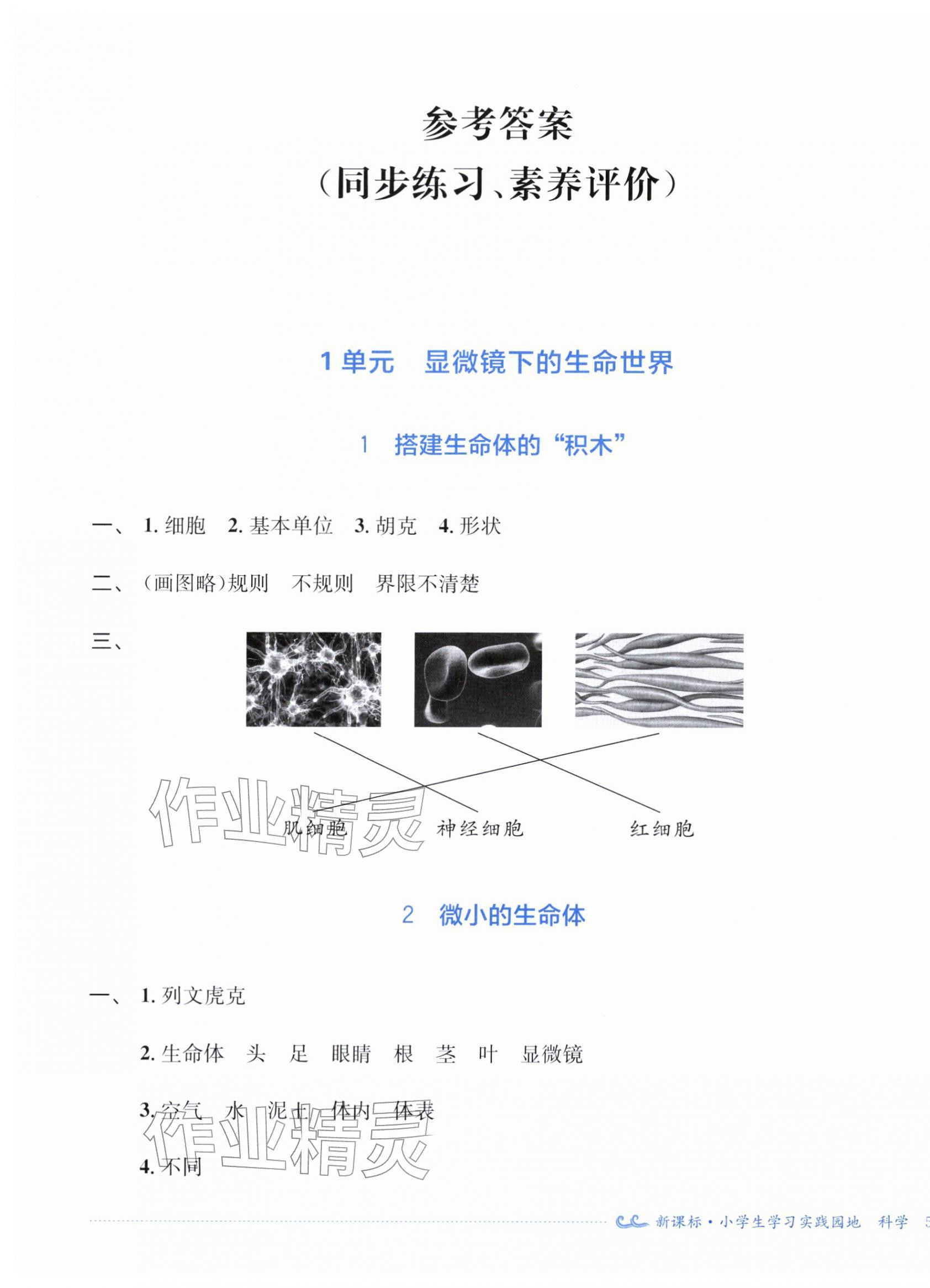 2026年小学生学习实践园地五年级科学下册苏教版&nbsp;第1页