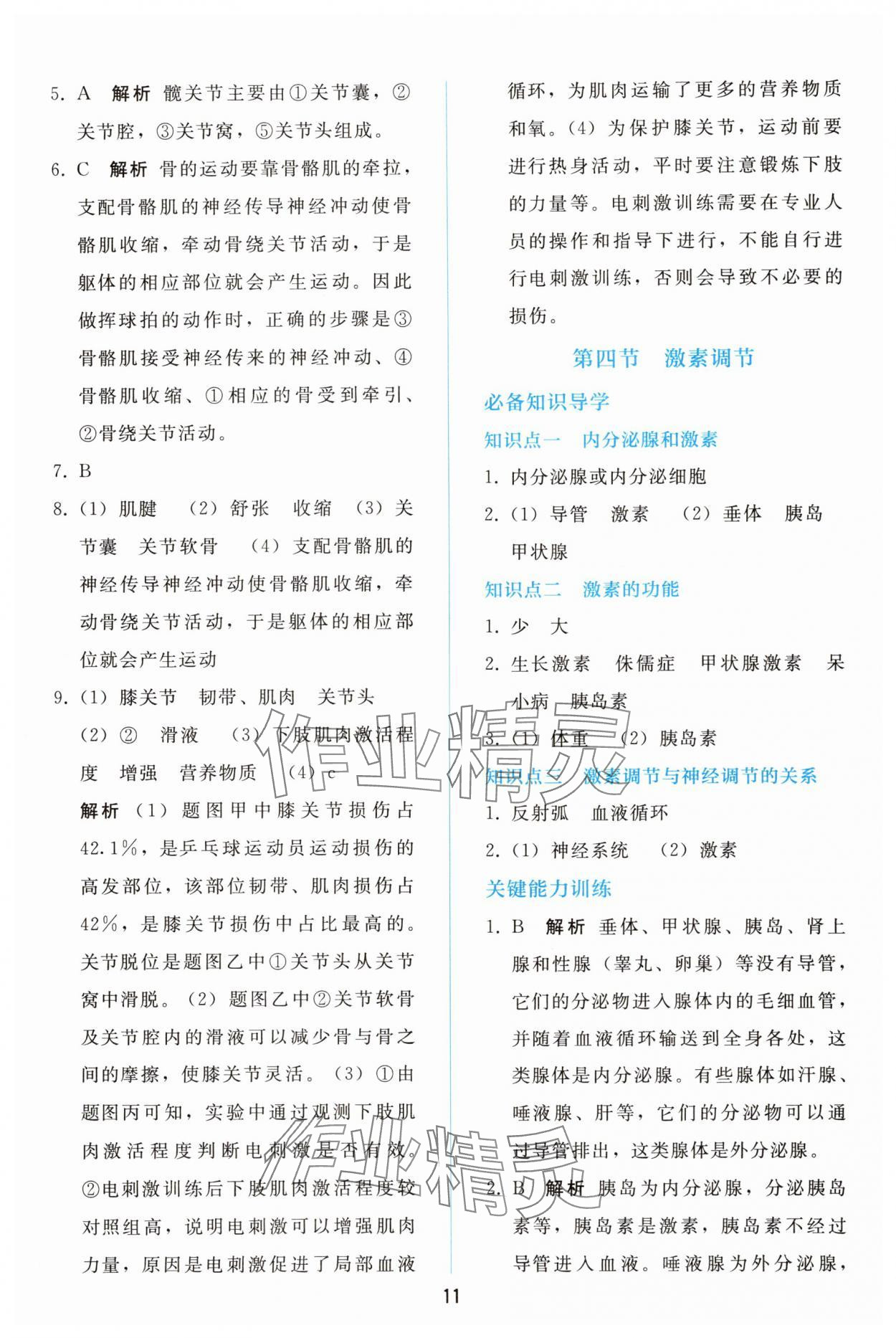 2025年同步轻松练习八年级生物上册人教版精编版 参考答案第10页