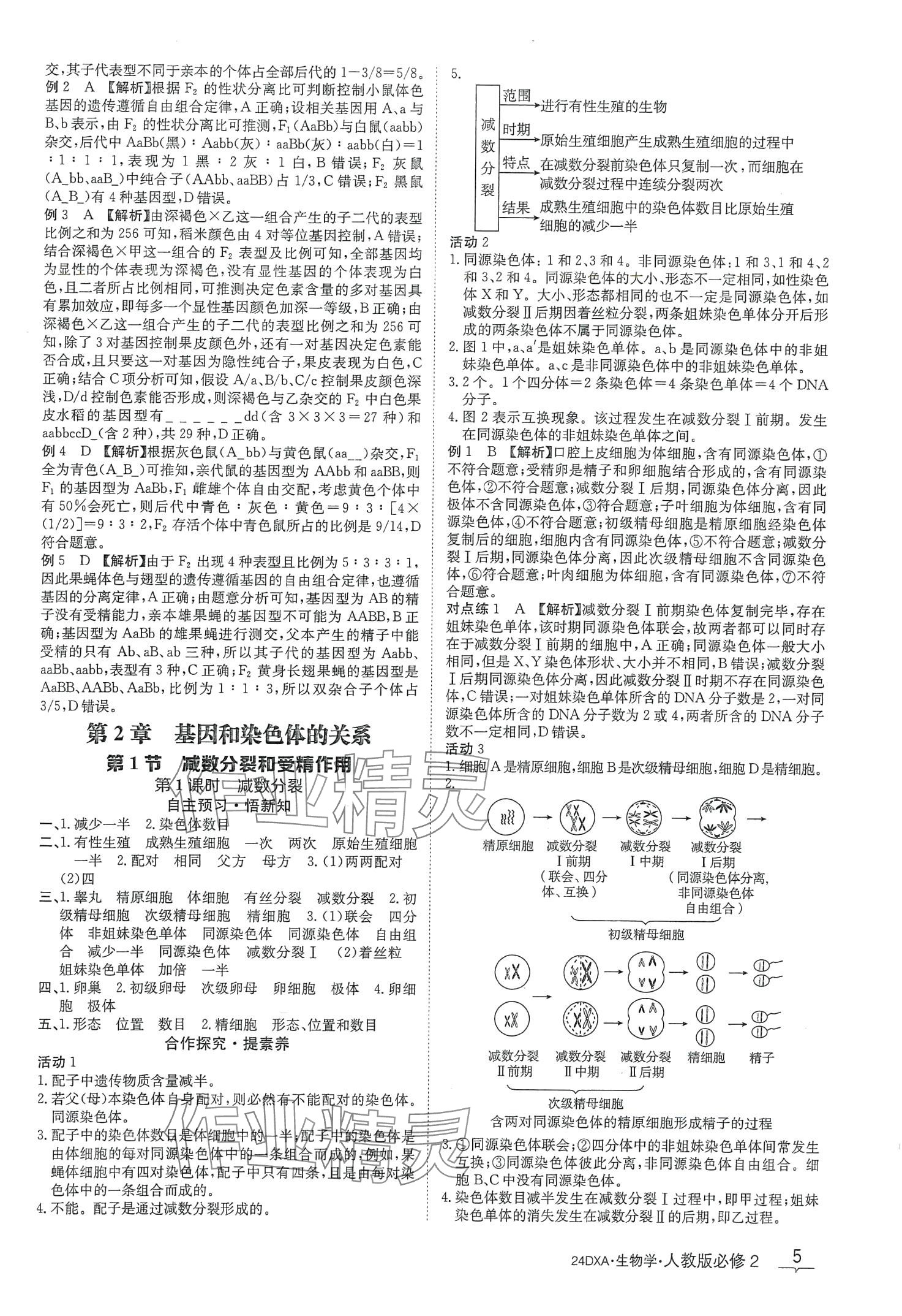 2024年金太陽導學案高中生物必修2人教版新教材 第5頁