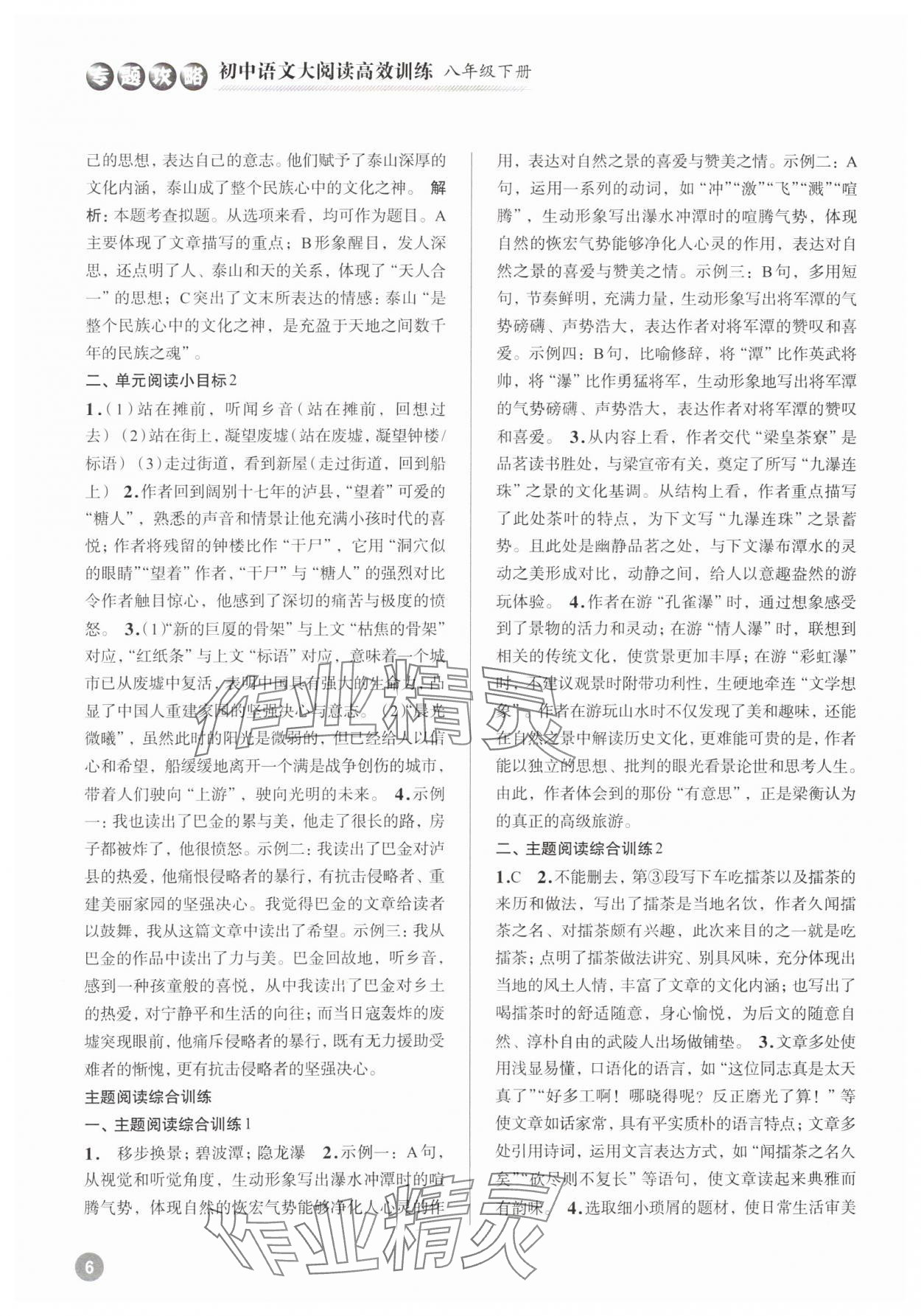 2024年初中语文大阅读高效训练八年级人教版 参考答案第6页